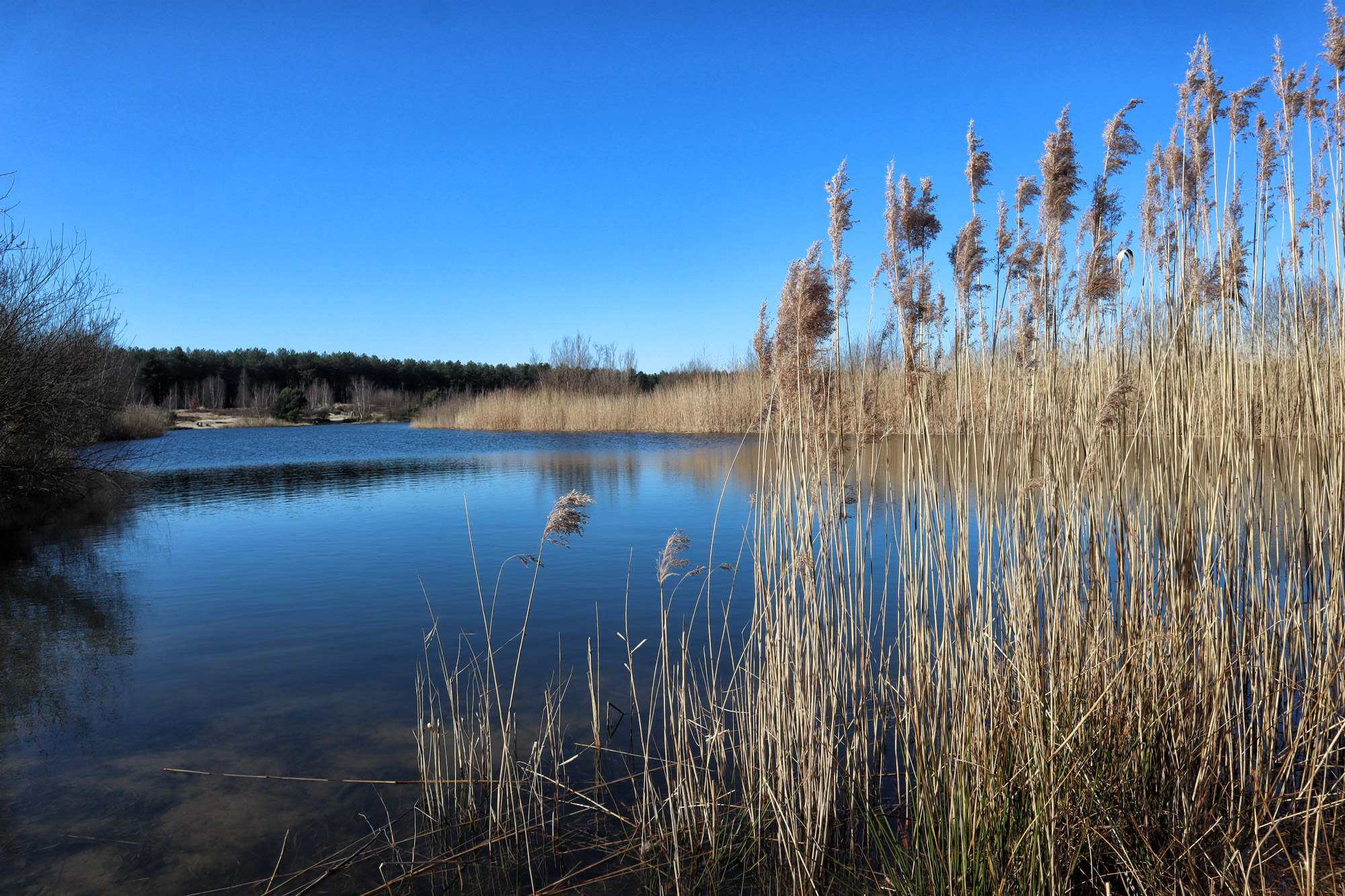 Wandelen in België: Lommelse Sahara