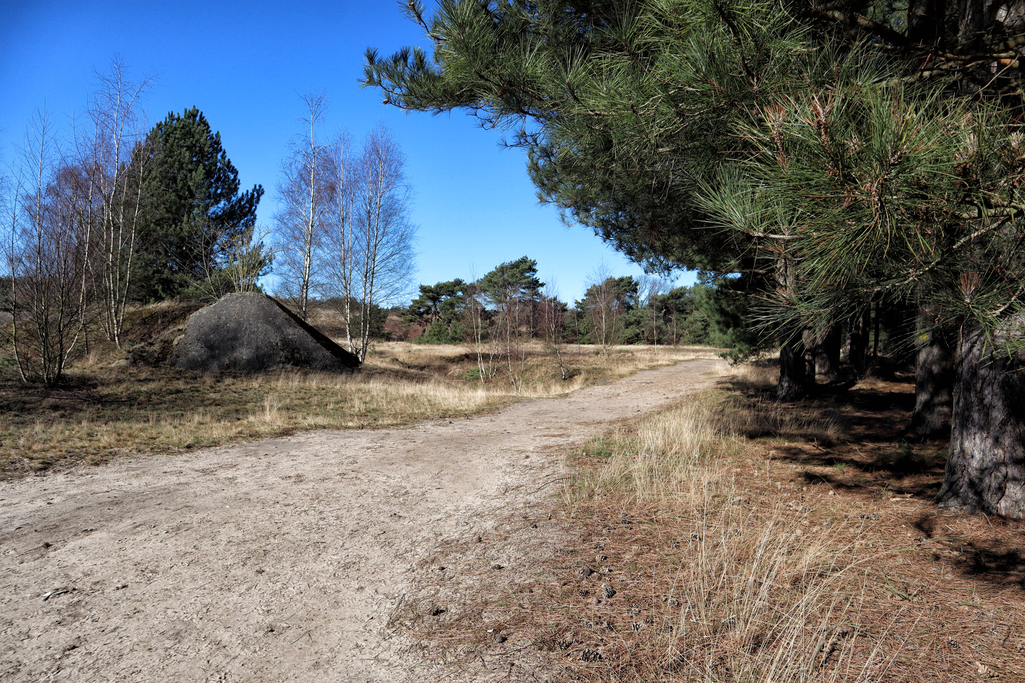 Wandelen in België: Lommelse Sahara