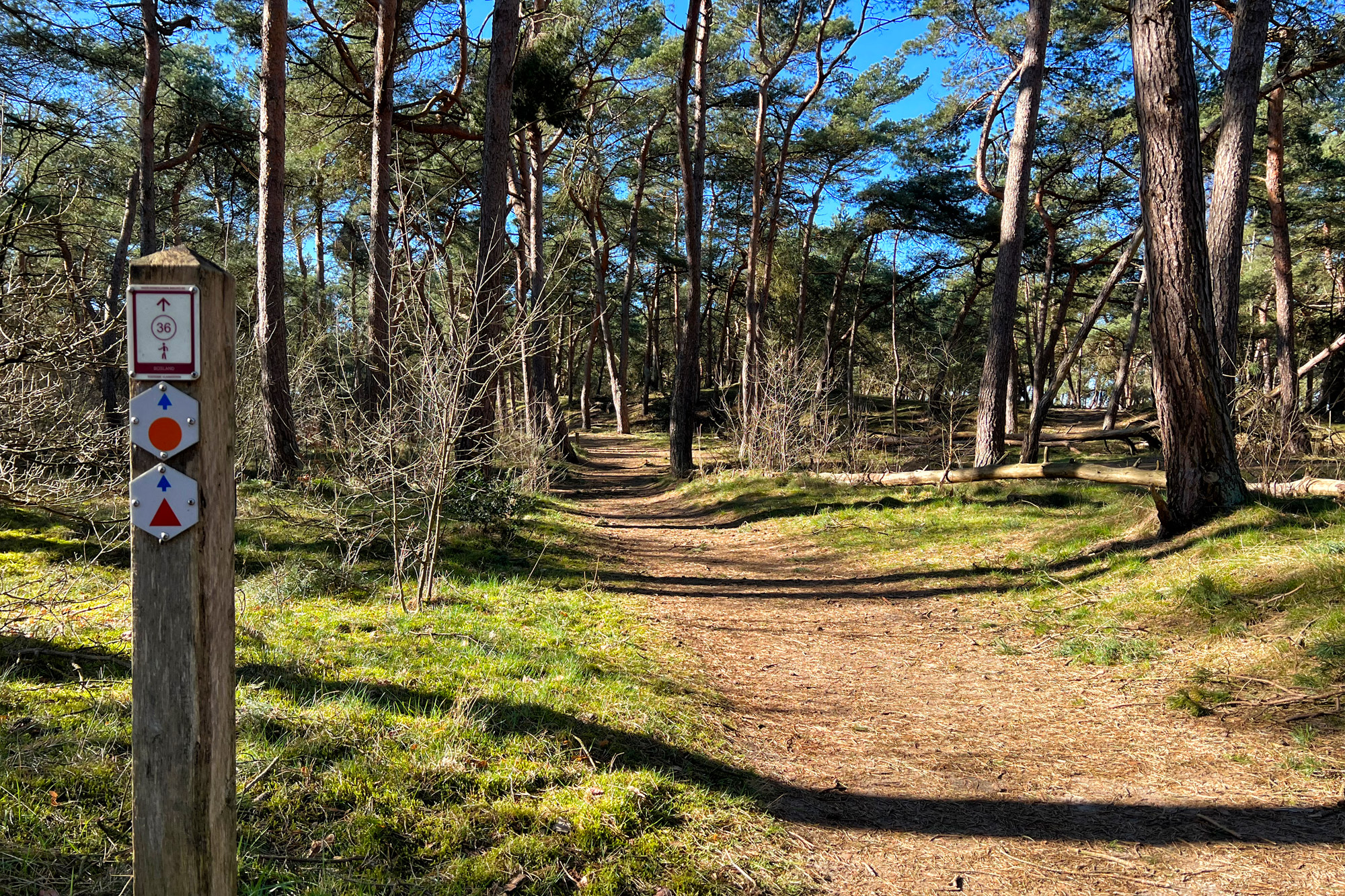 Wandelen in België: Lommelse Sahara