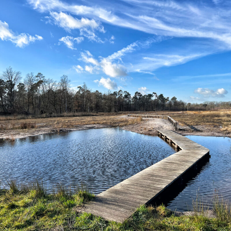 Wandelen in België: De Ronde Put