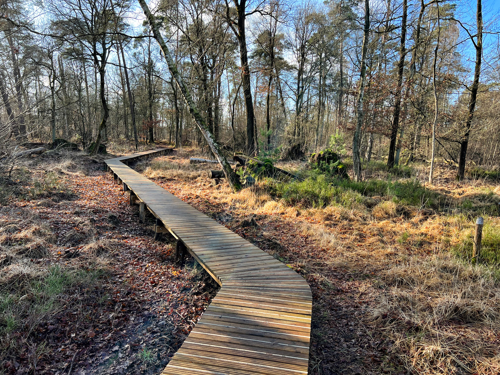 Wandelen in België - De Ronde Put