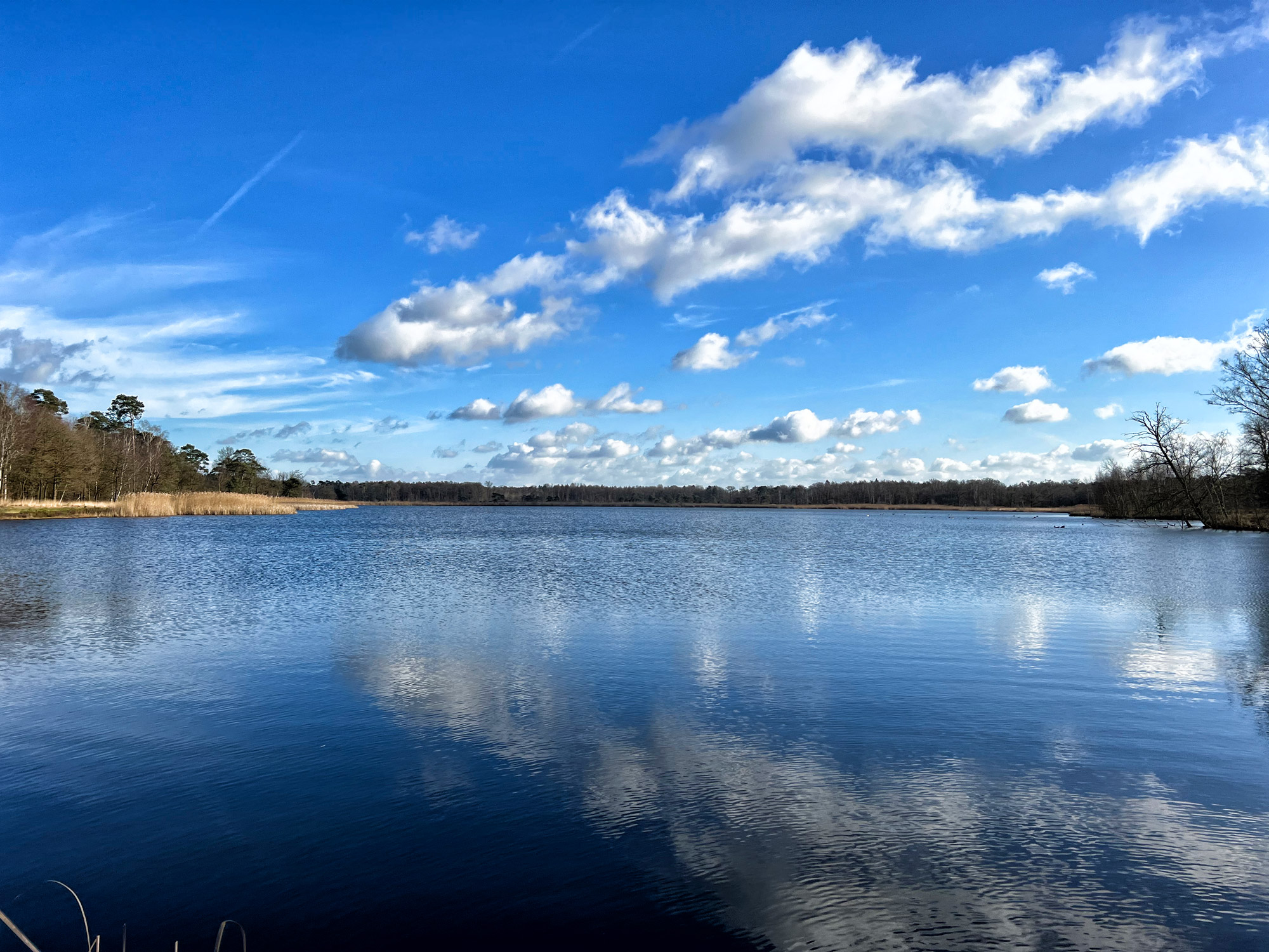 Wandelen in België - De Ronde Put