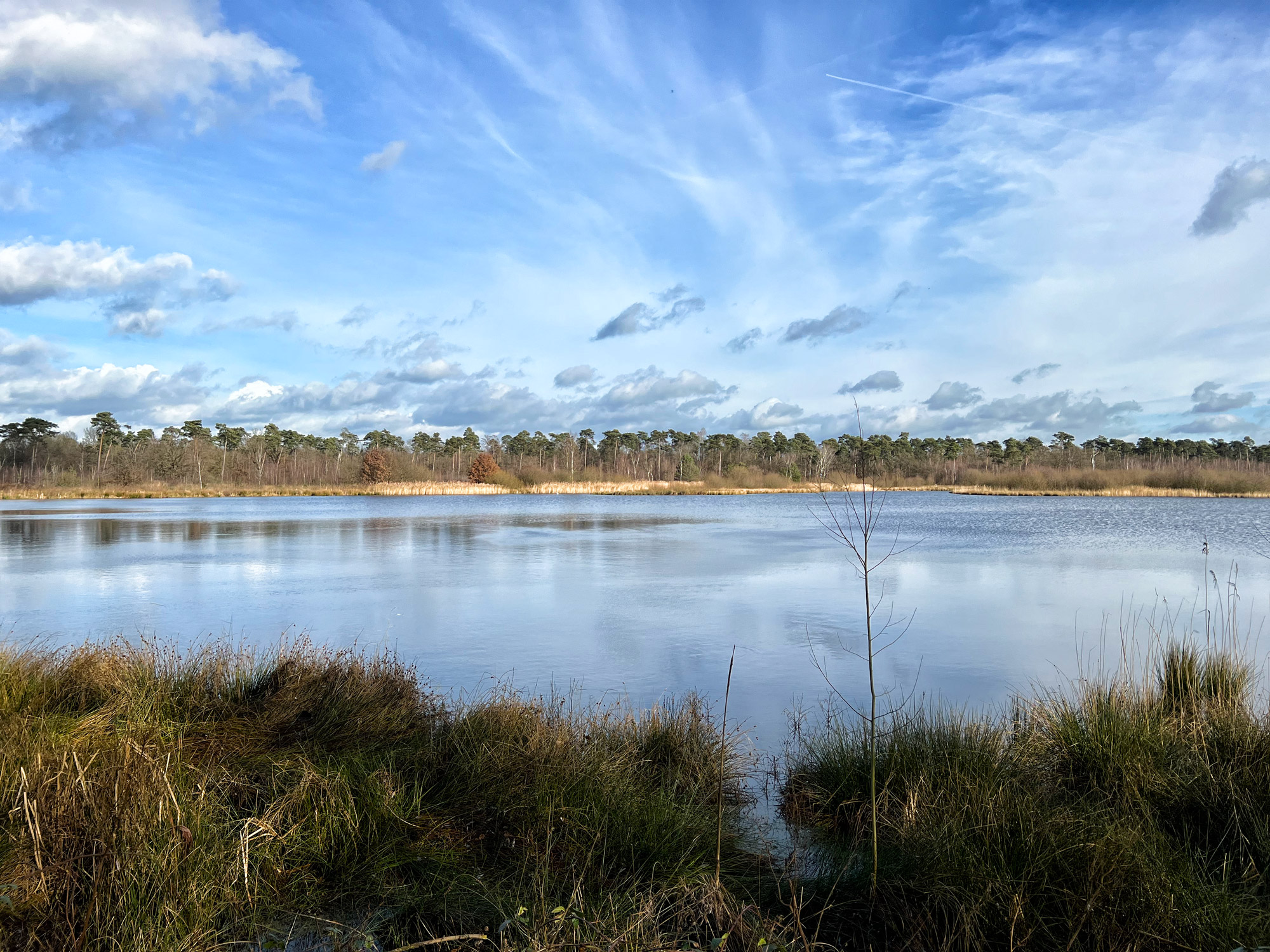 Wandelen in België - De Ronde Put