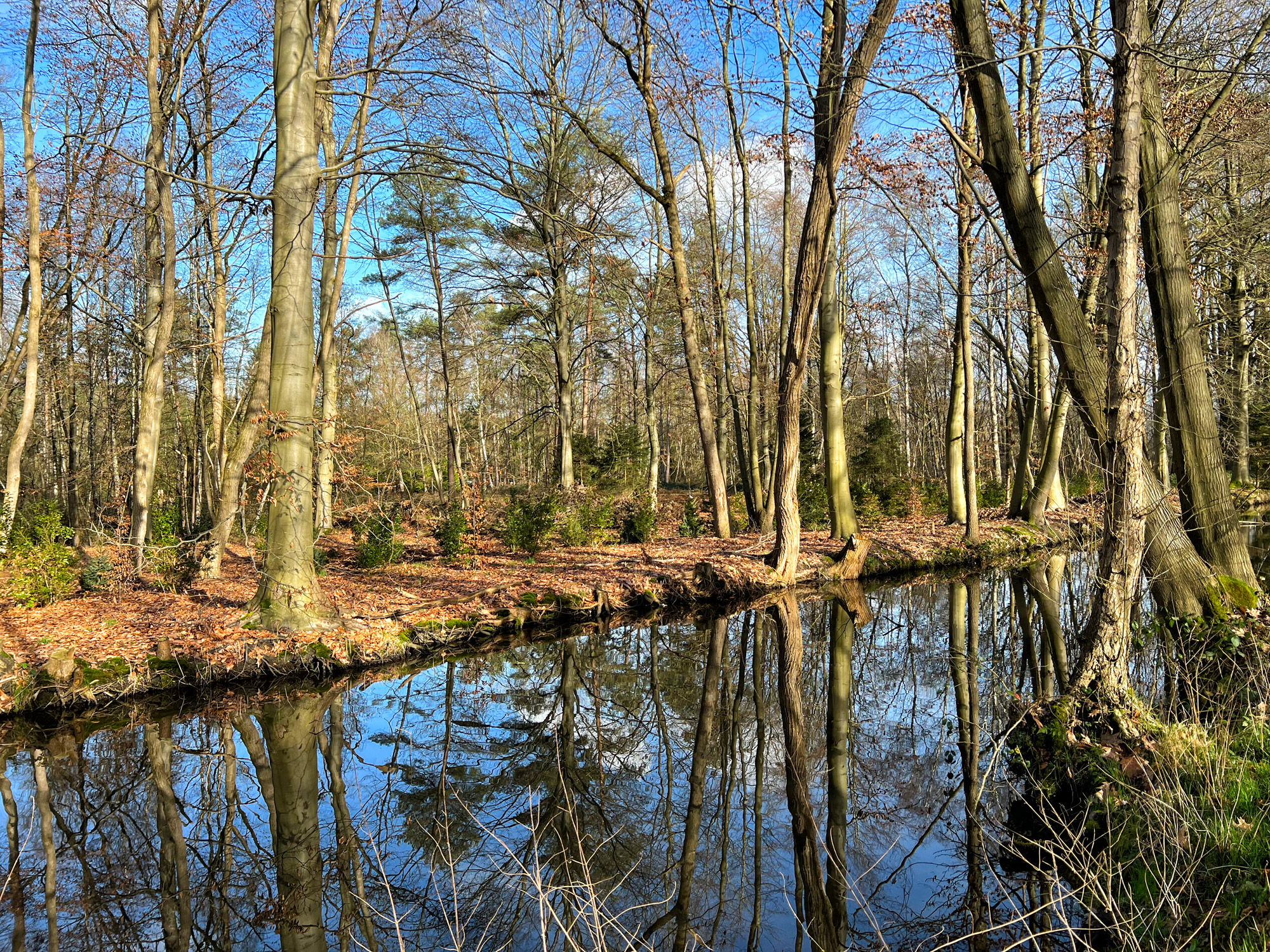 Wandelen in België - De Ronde Put