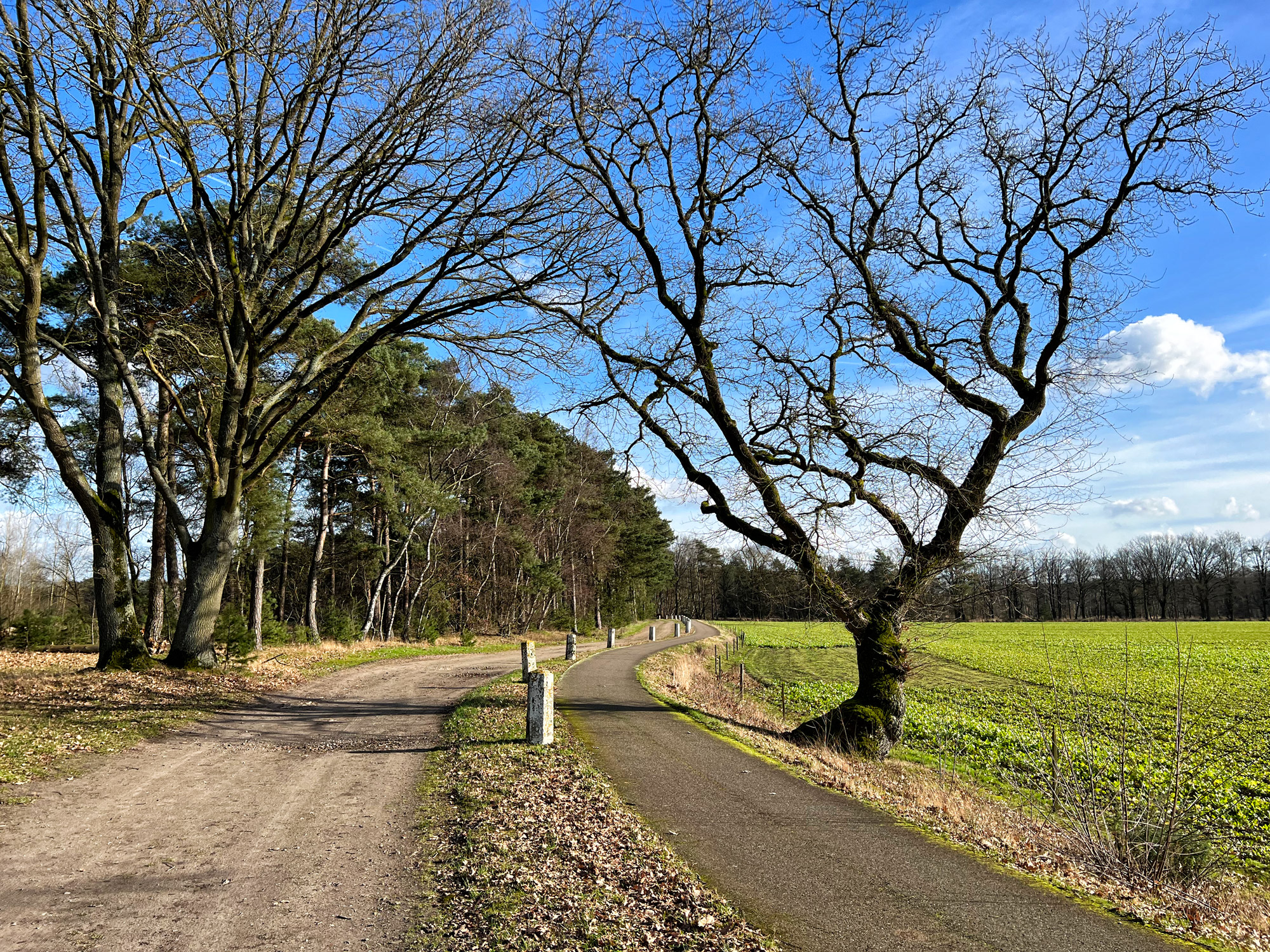 Wandelen in België - De Ronde Put