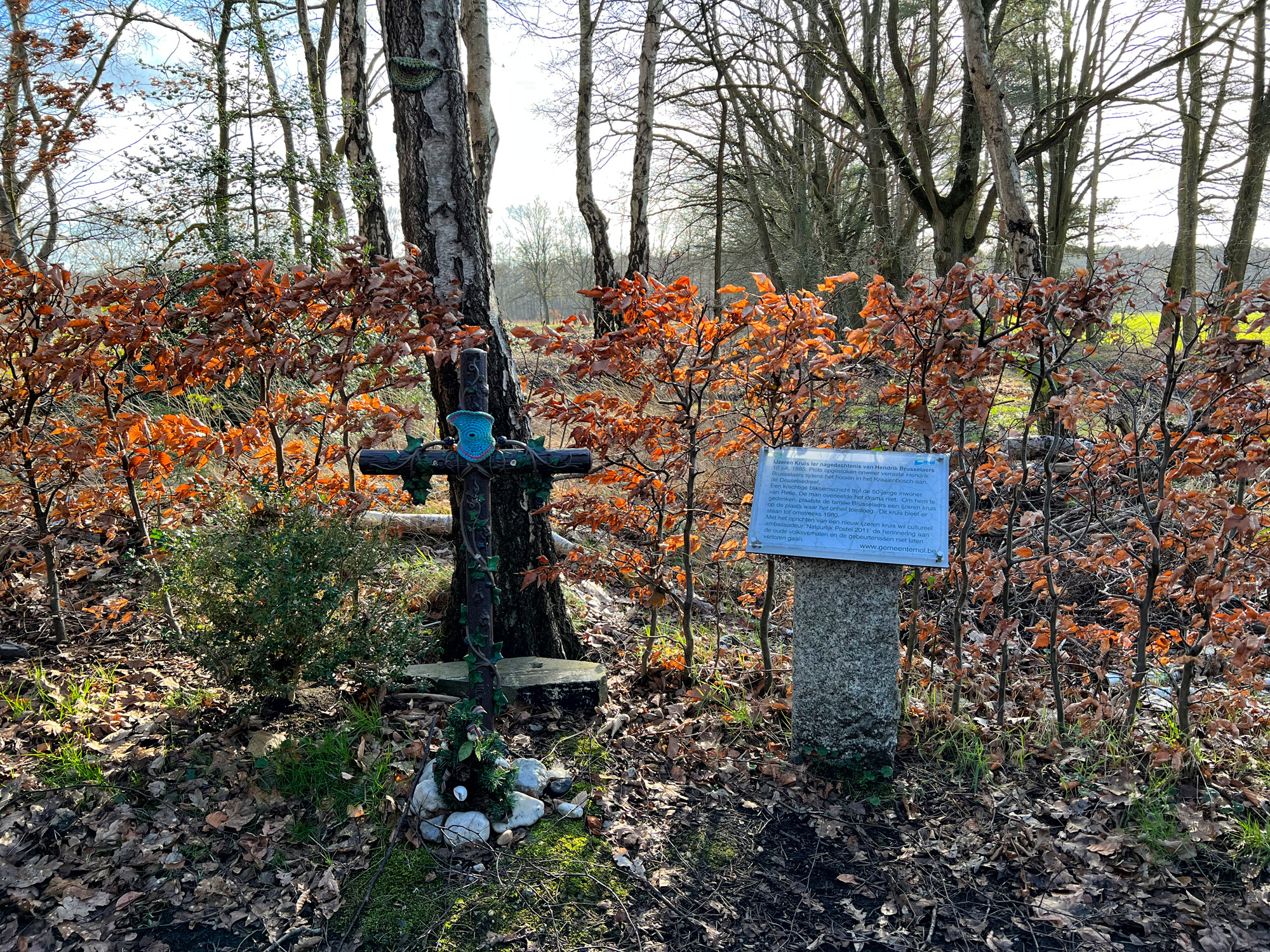 Wandelen in België - De Ronde Put