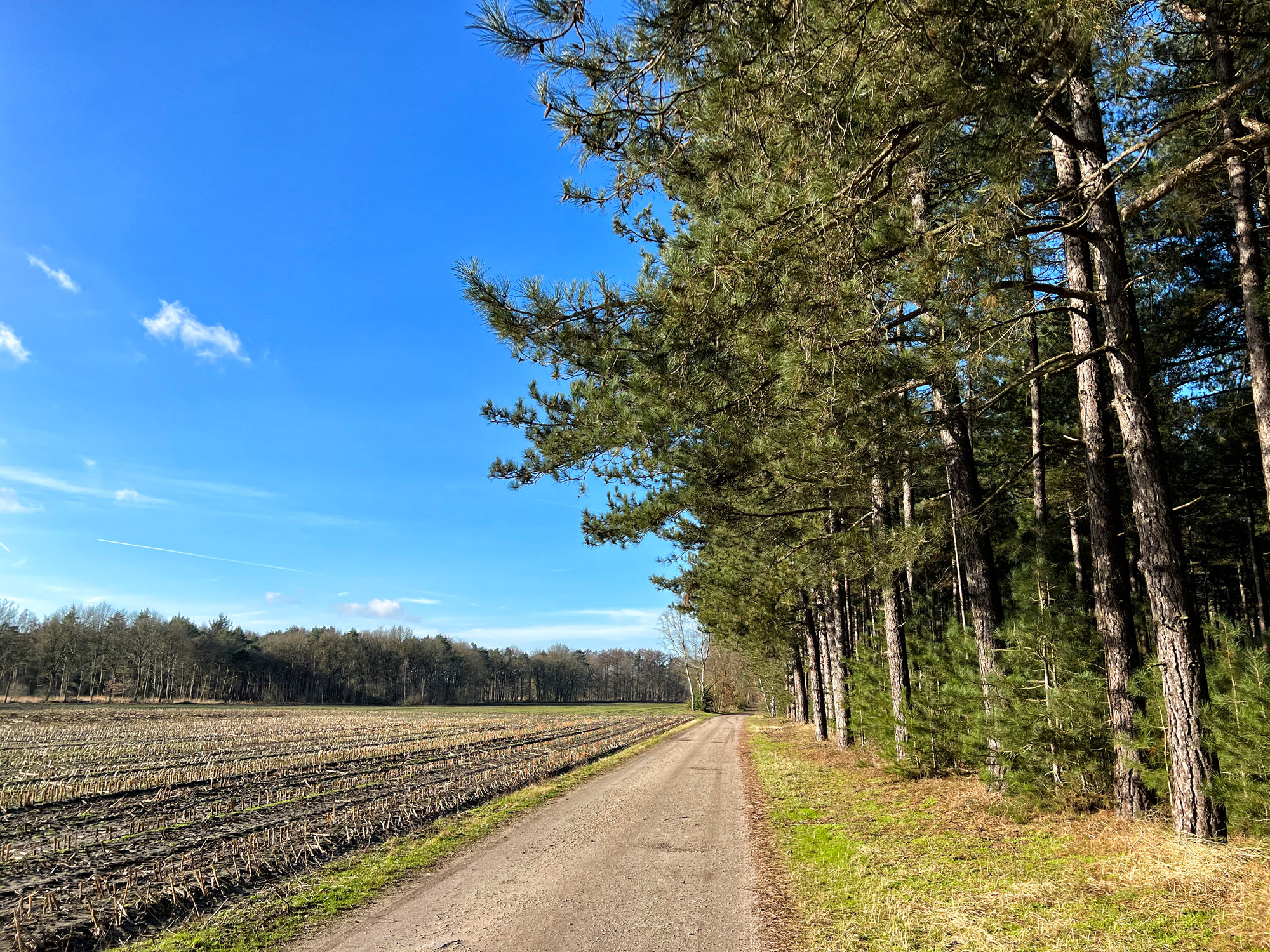 Wandelen in België - De Ronde Put