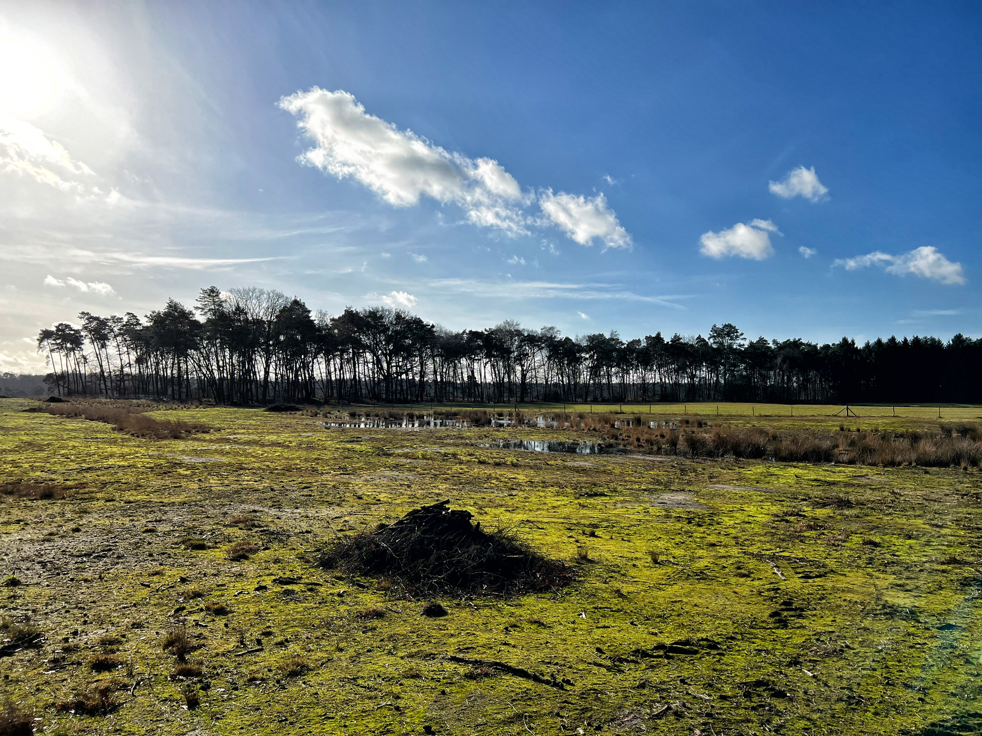 Wandelen in België - De Ronde Put