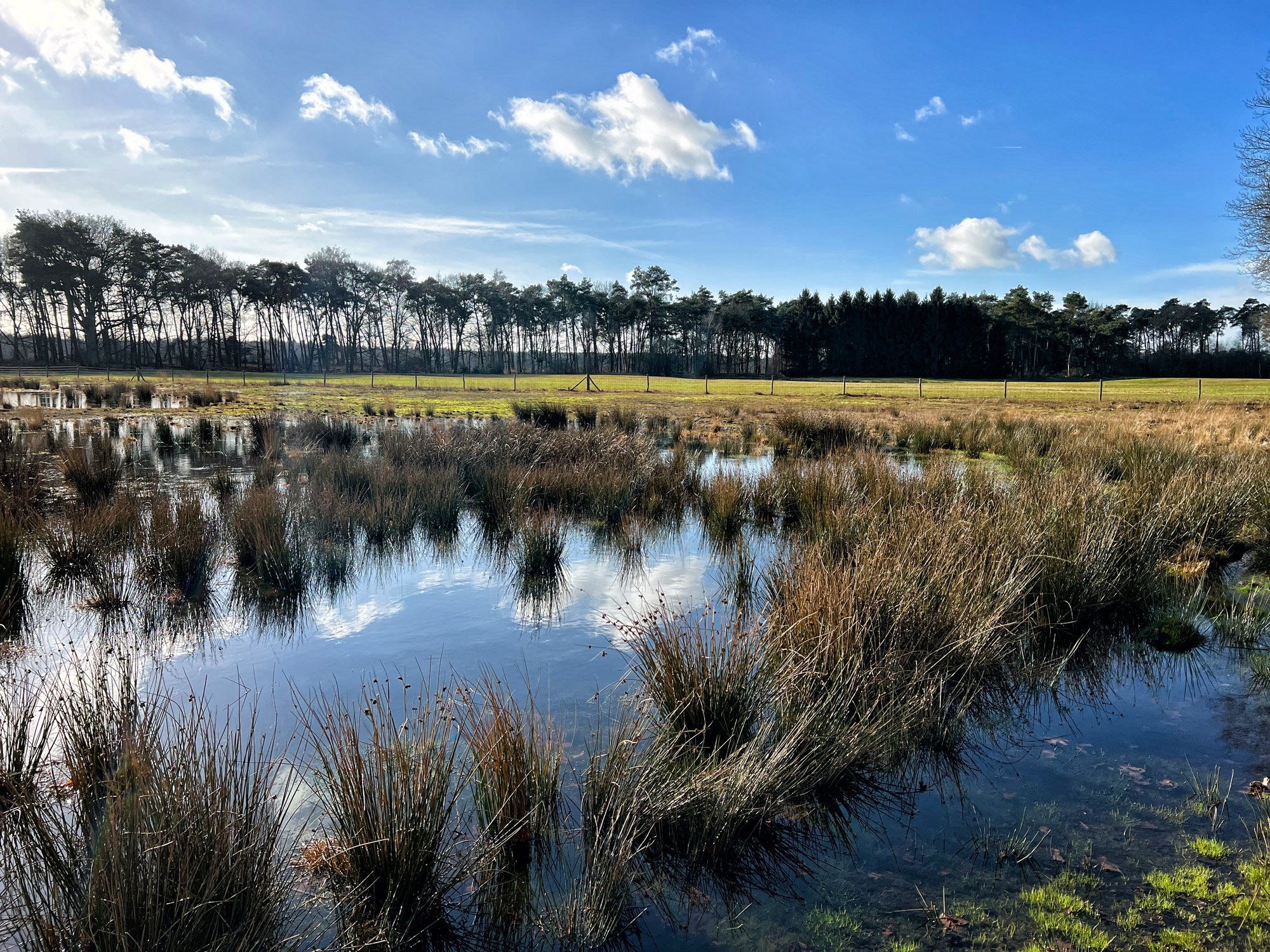 Wandelen in België - De Ronde Put