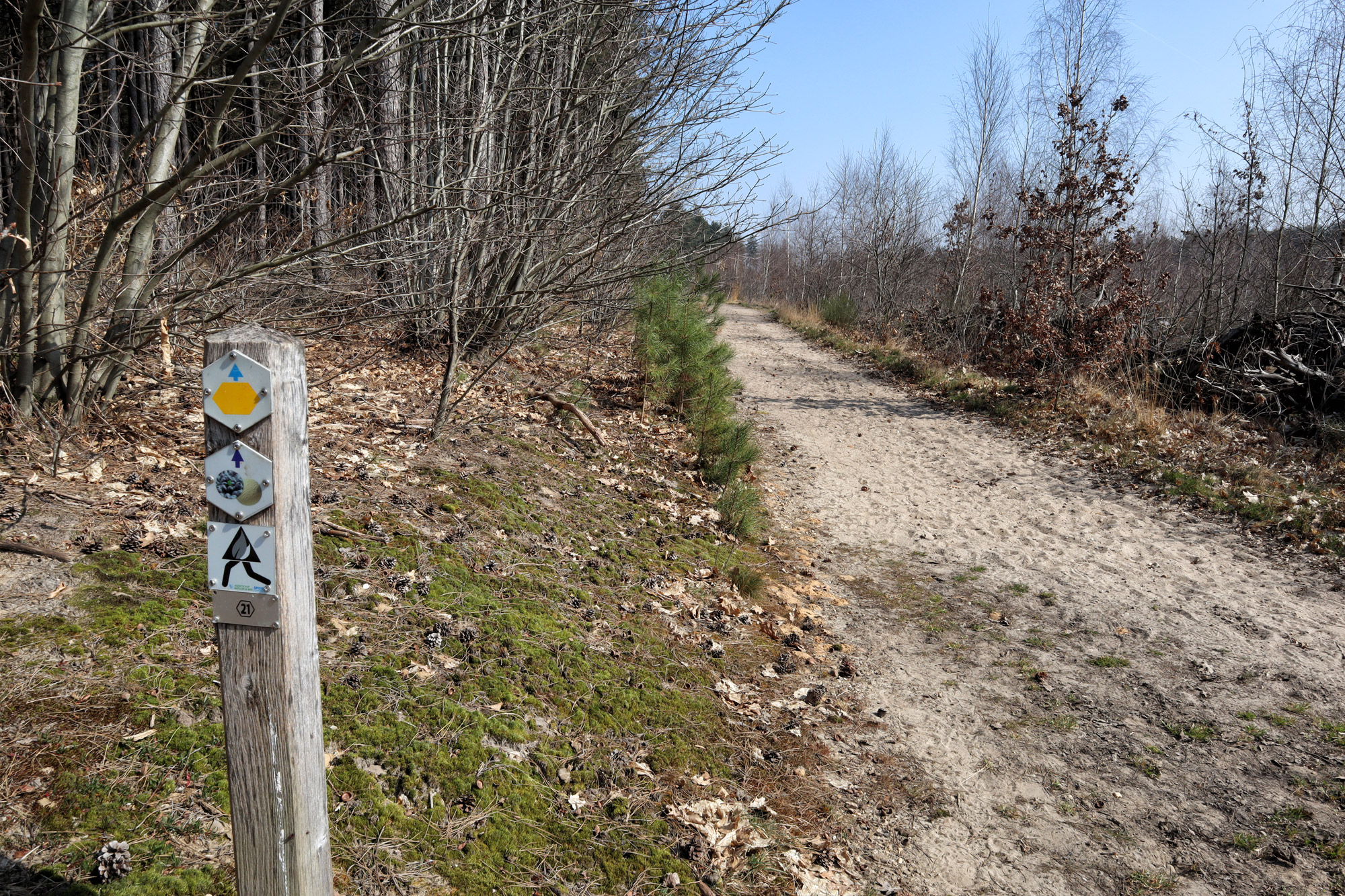 Wandelen in België - De Oudsberg - gele route