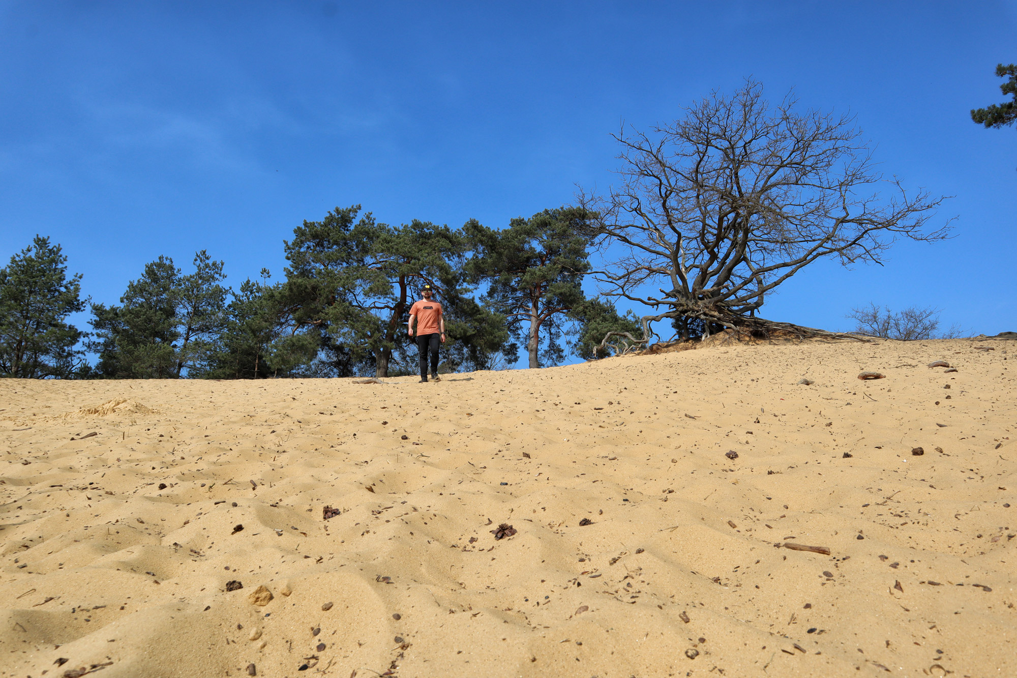 Wandelen in België - De Oudsberg - gele route