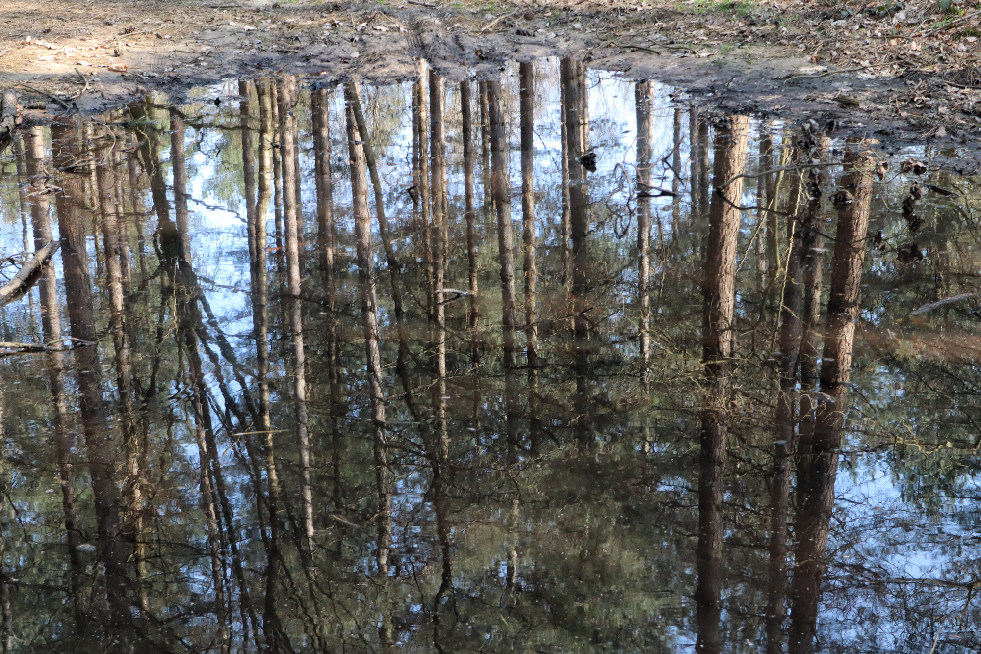 Wandelen in België - De Oudsberg - gele route