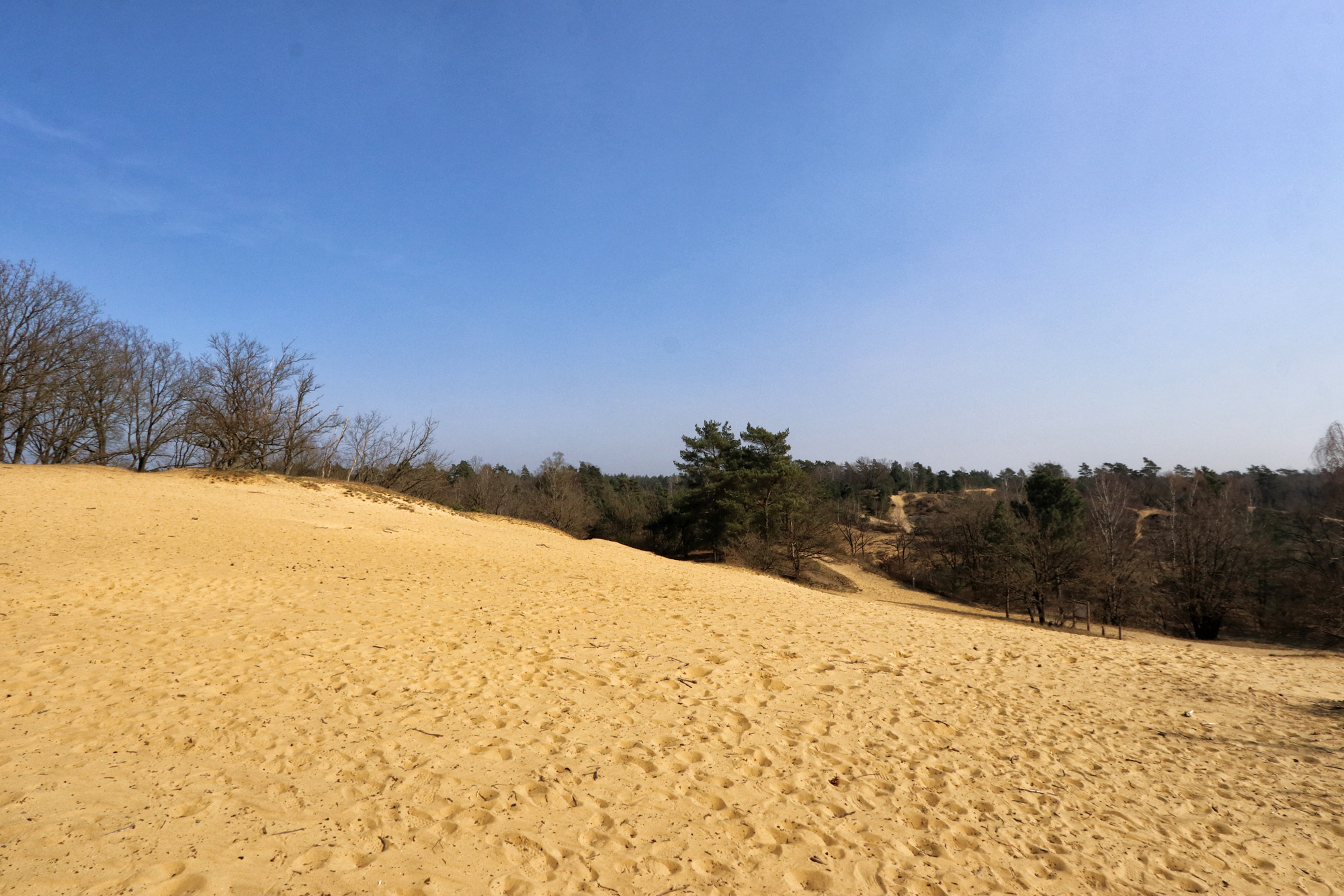 Wandelen in België - De Oudsberg - gele route