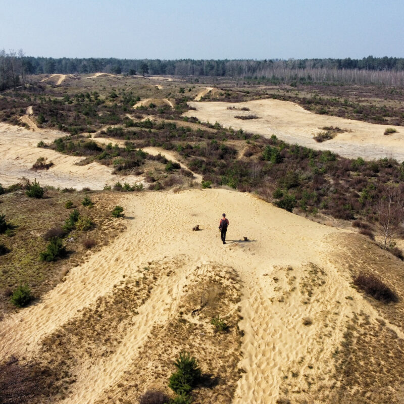 Wandelen in België – De Oudsberg – gele route