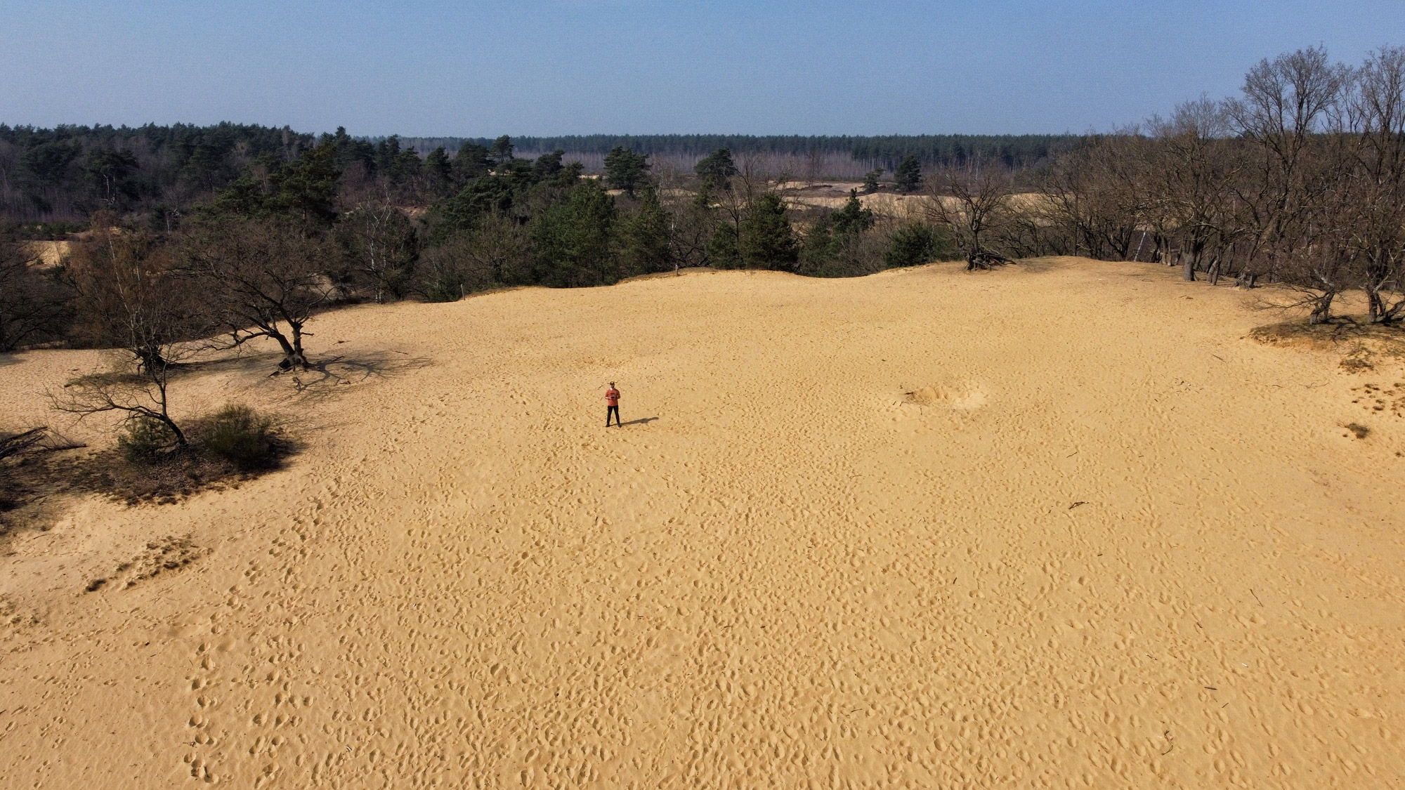 Wandelen in België - De Oudsberg - gele route