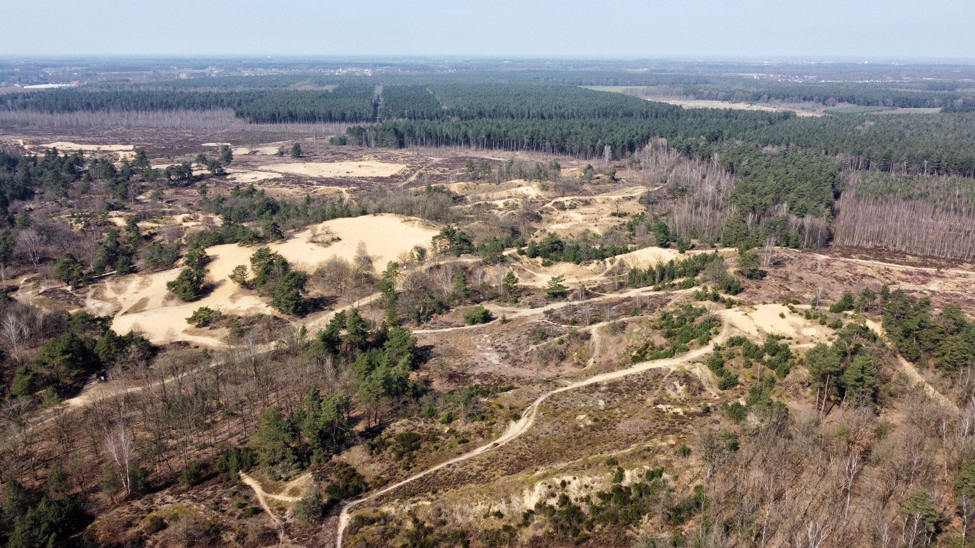 Wandelen in België - De Oudsberg - gele route