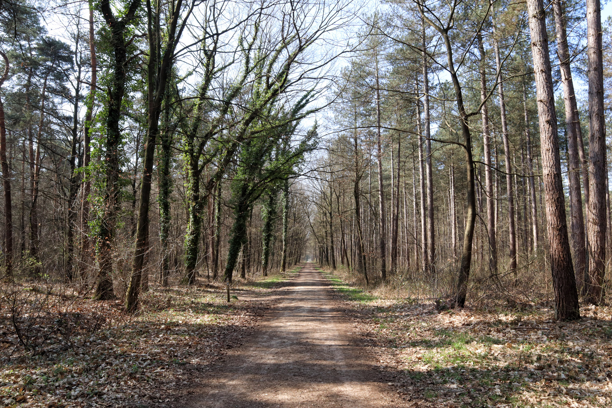 Wandelen in België - De Oudsberg - gele route