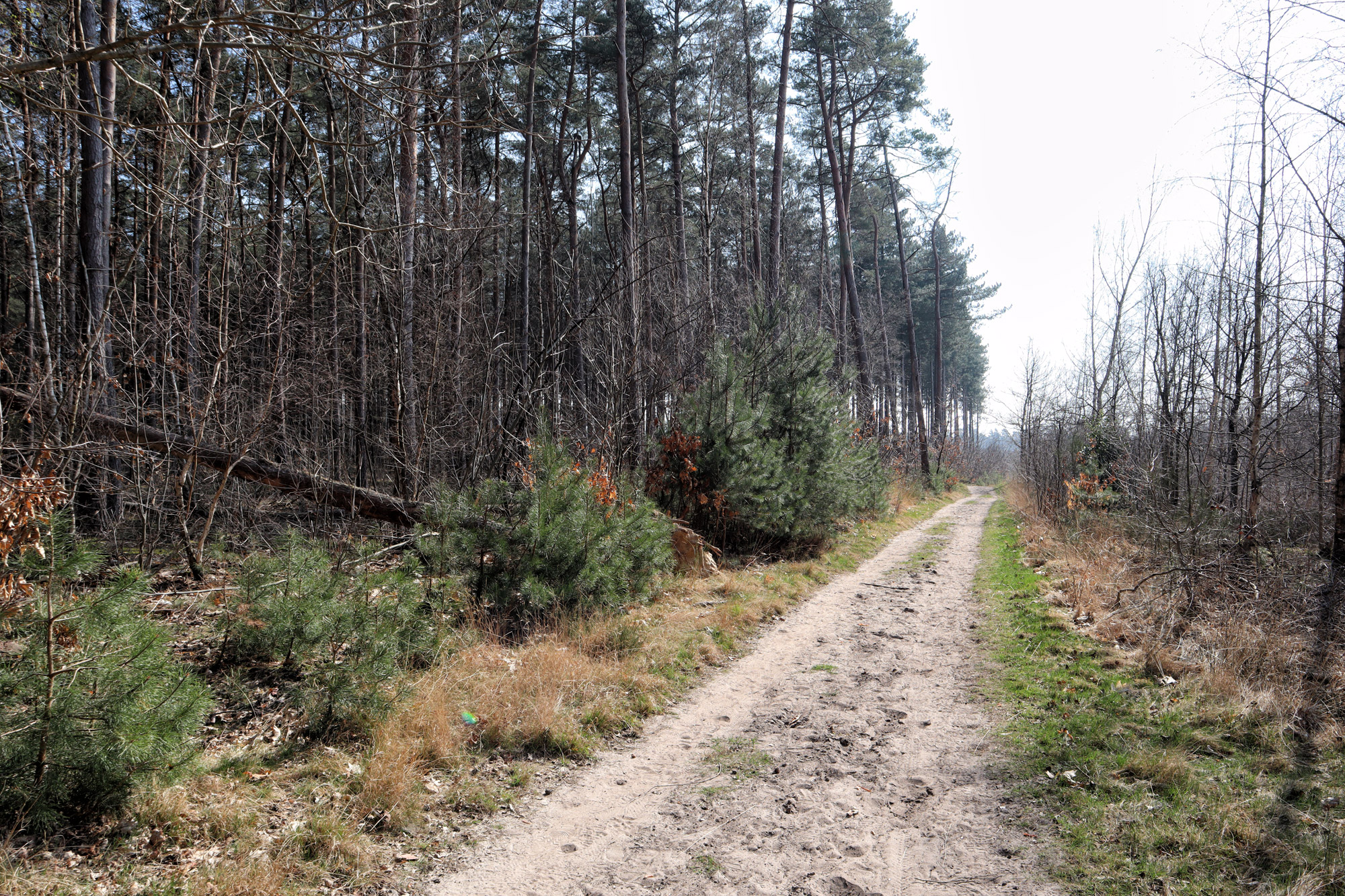 Wandelen in België - De Oudsberg - gele route