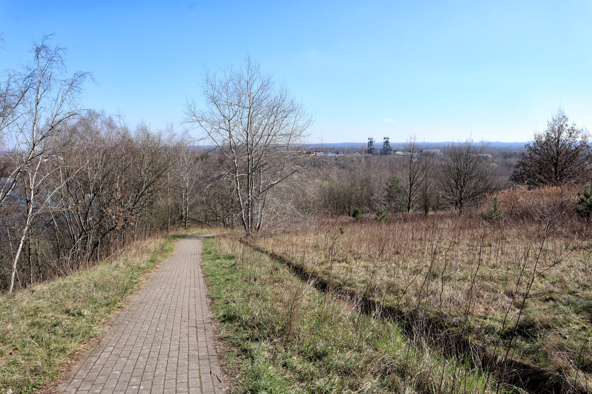 Wandelen in België - Nationaal Park Hoge Kempen aan Terhills - paarse route