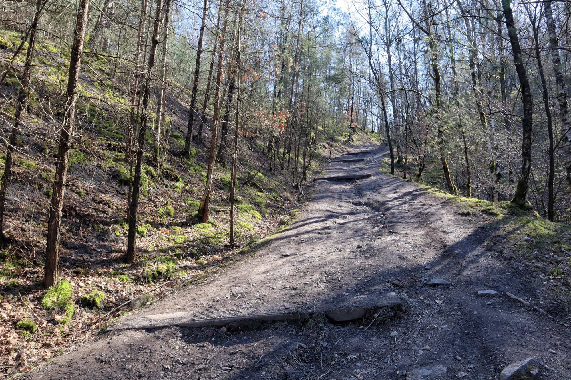 Wandelen in België - Nationaal Park Hoge Kempen aan Terhills - paarse route