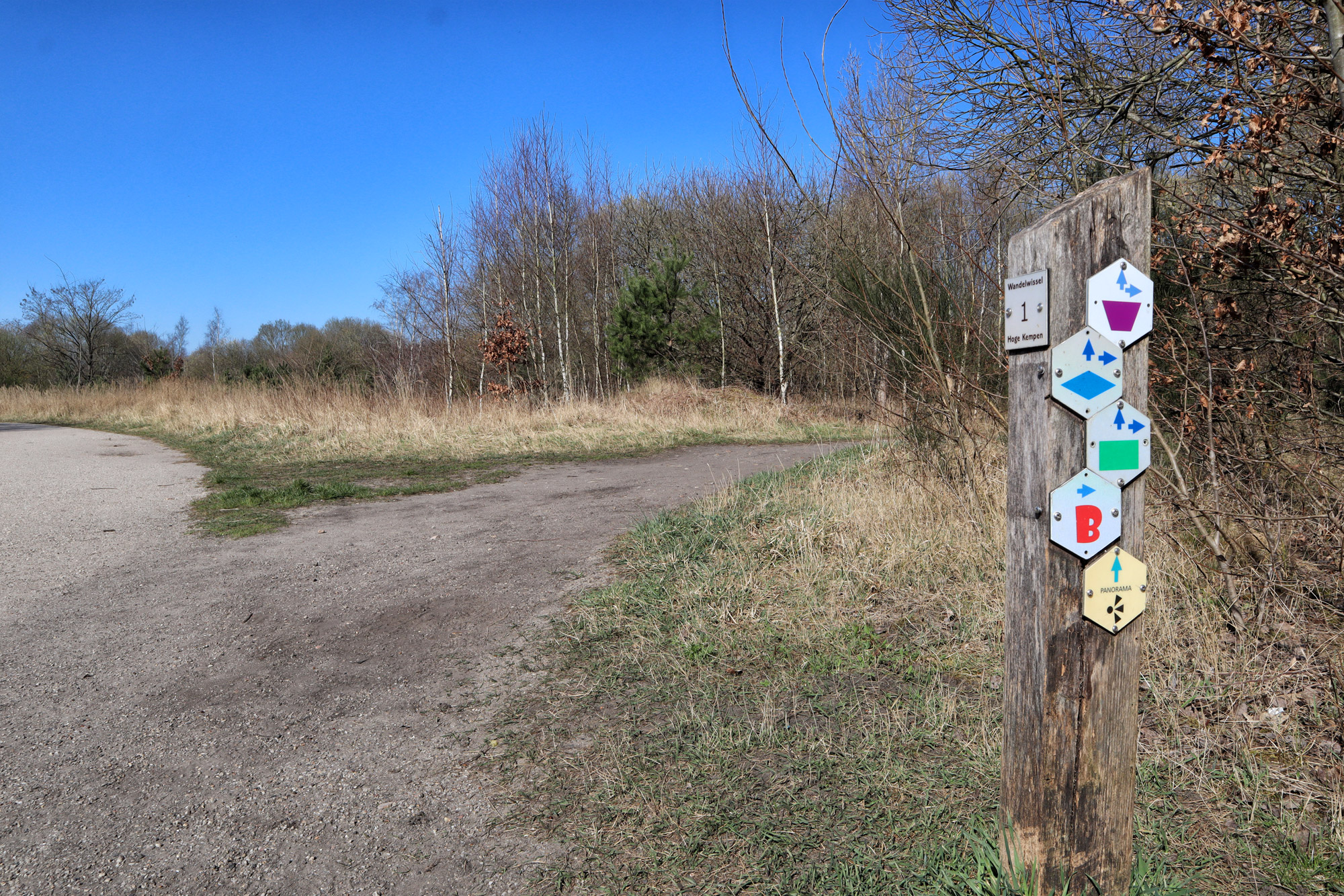 Wandelen in België - Nationaal Park Hoge Kempen aan Terhills - paarse route