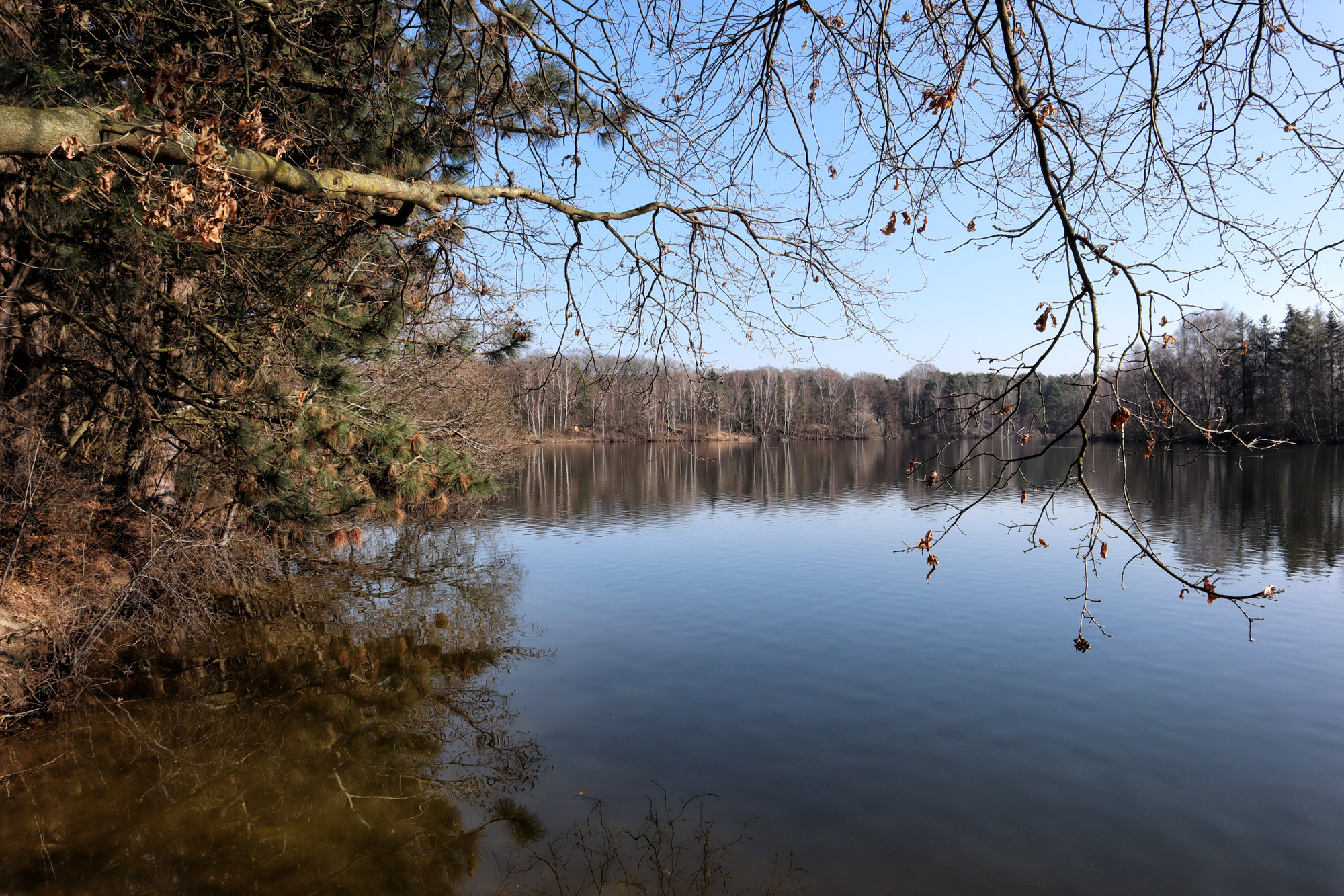 Wandelen in Limburg/Duitsland: Rode Beek