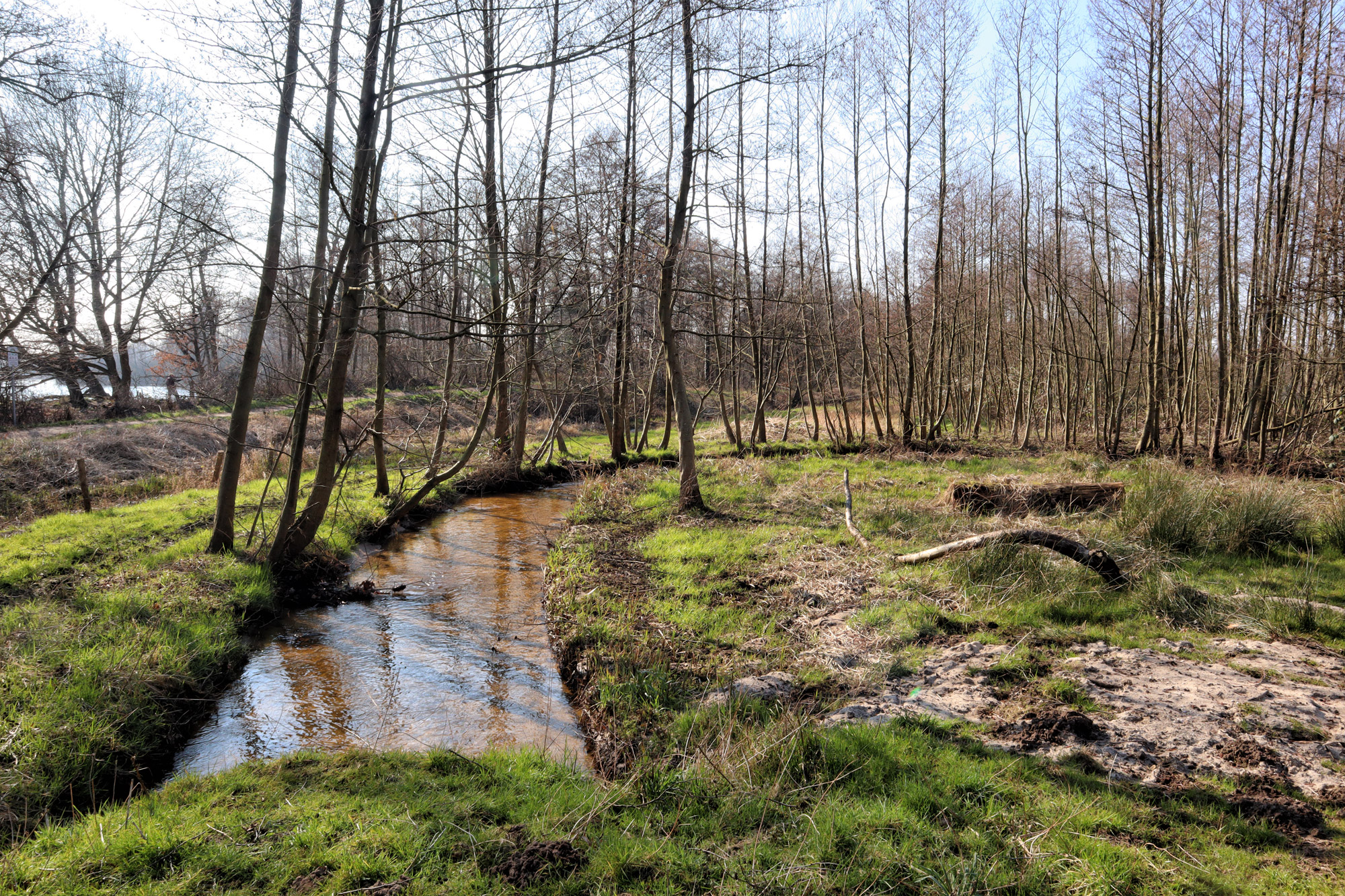 Wandelen in Limburg/Duitsland: Rode Beek