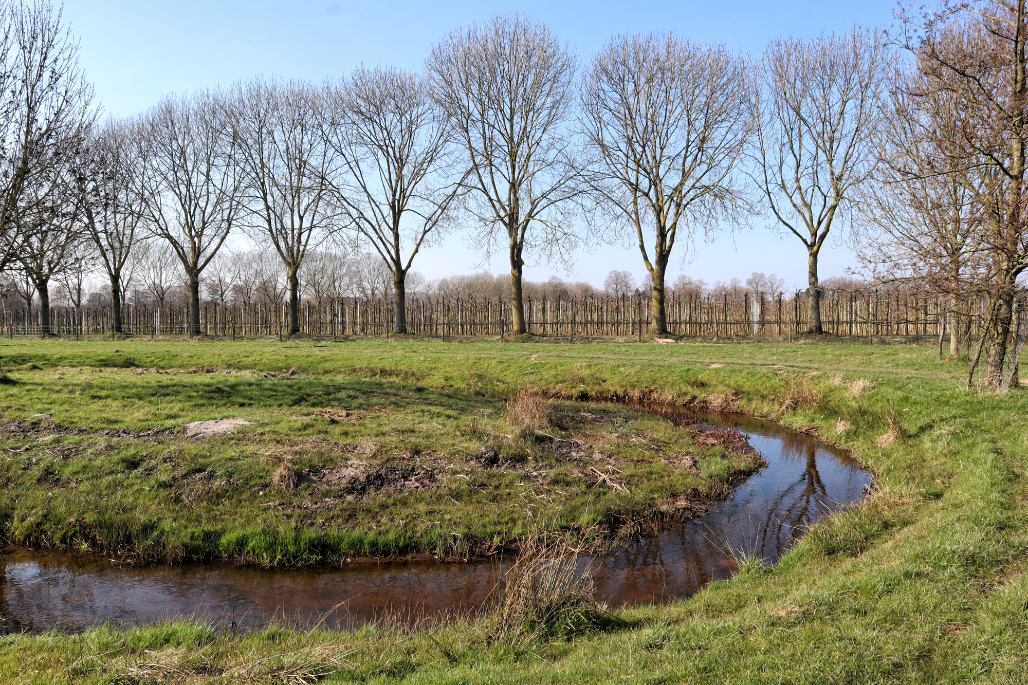 Wandelen in Limburg/Duitsland: Rode Beek