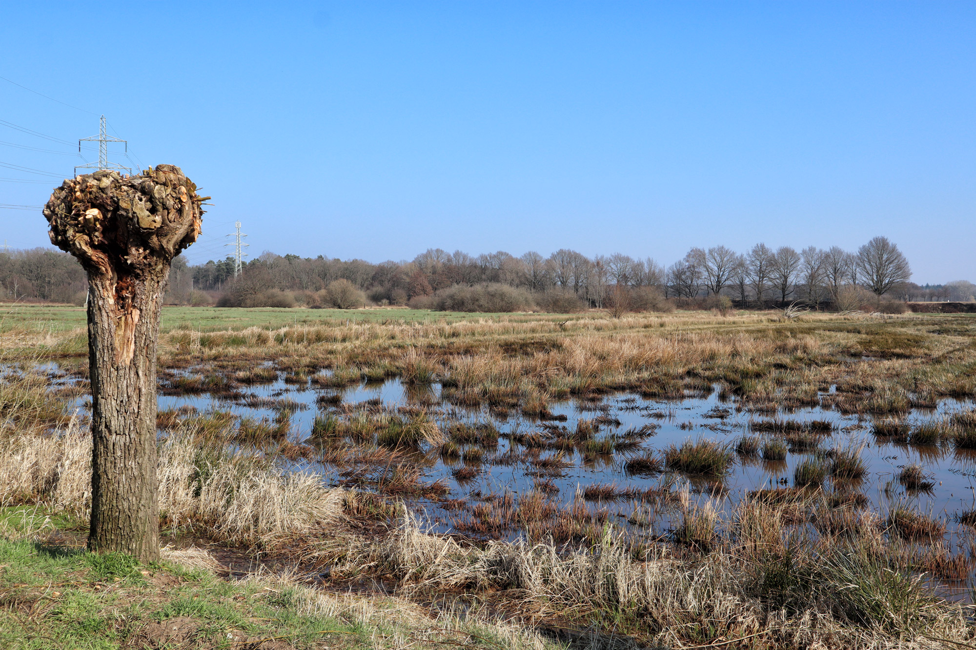 Wandelen in Limburg/Duitsland: Rode Beek