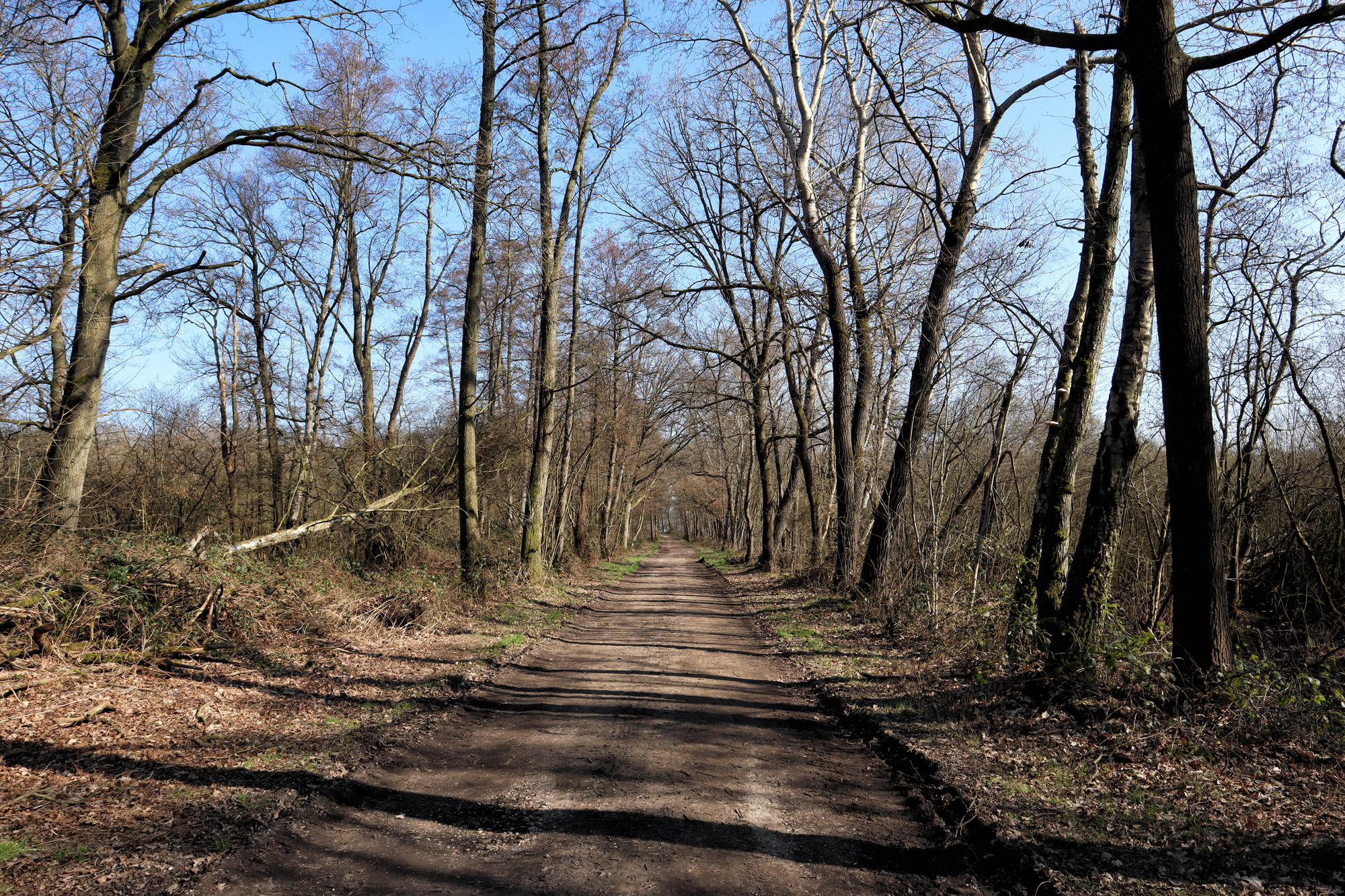 Wandelen in Limburg/Duitsland: Rode Beek