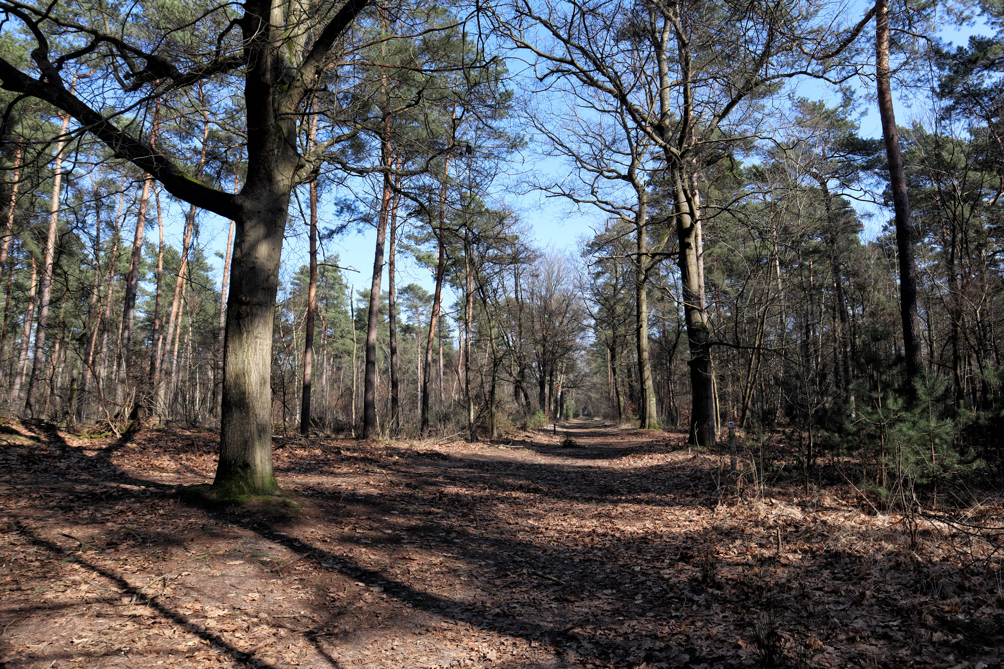 Wandelen in Limburg/Duitsland: Rode Beek