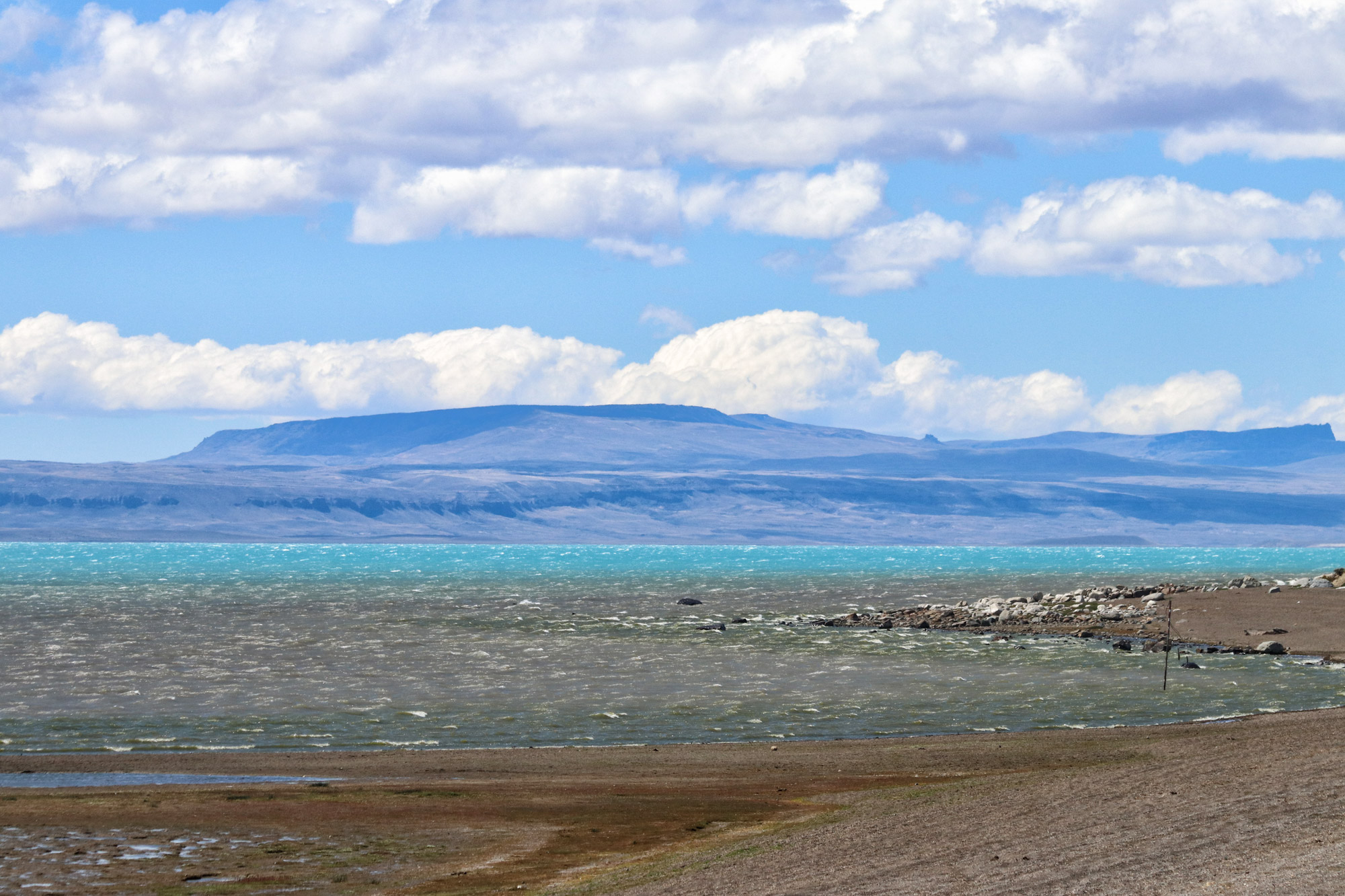 Doen in El Calafate: Vogels spotten bij Reserva Laguna Nimez - Argentinië