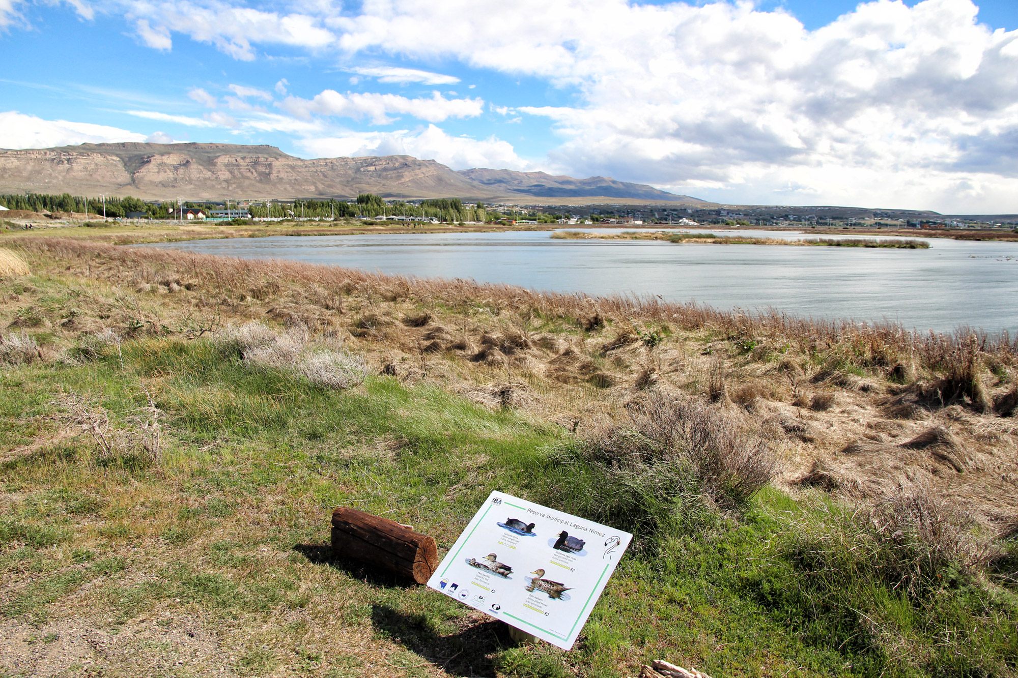 Doen in El Calafate: Vogels spotten bij Reserva Laguna Nimez - Argentinië