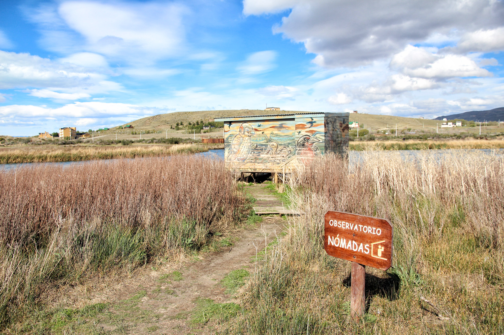 Doen in El Calafate: Vogels spotten bij Reserva Laguna Nimez - Argentinië