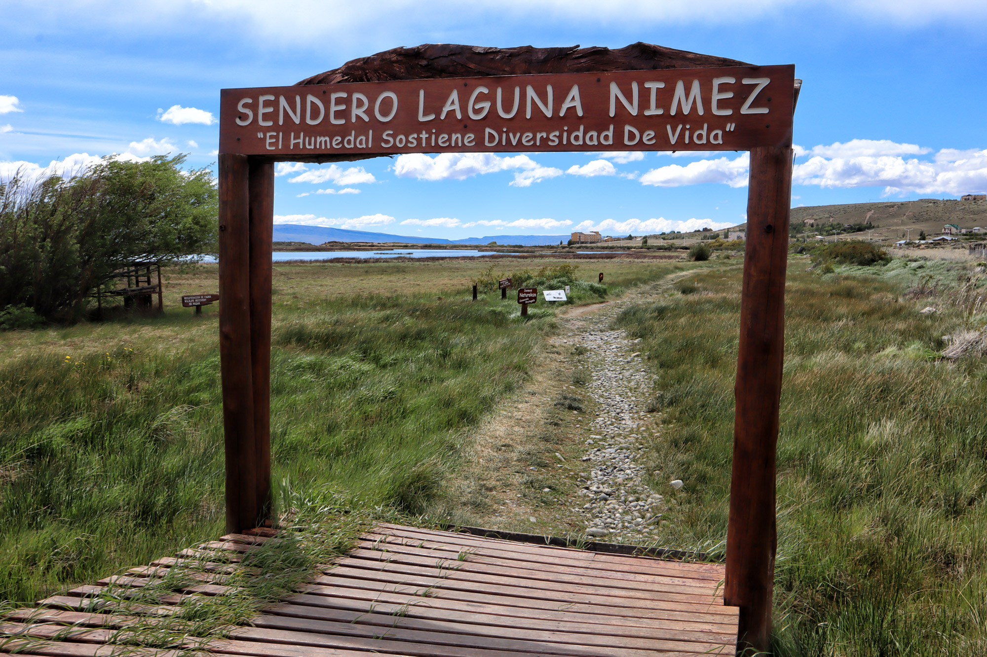 Doen in El Calafate: Vogels spotten bij Reserva Laguna Nimez - Argentinië