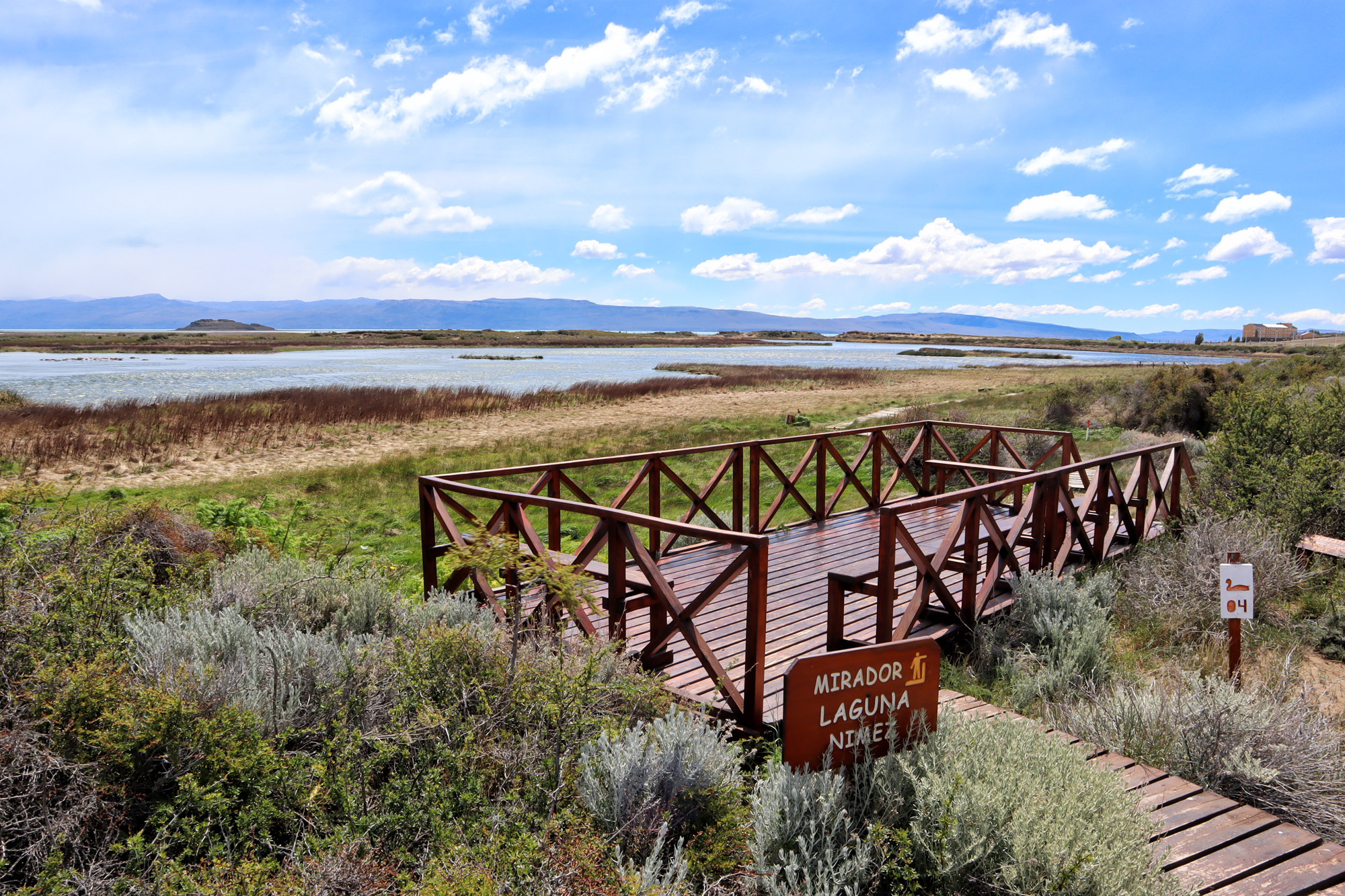 Doen in El Calafate: Vogels spotten bij Reserva Laguna Nimez - Argentinië