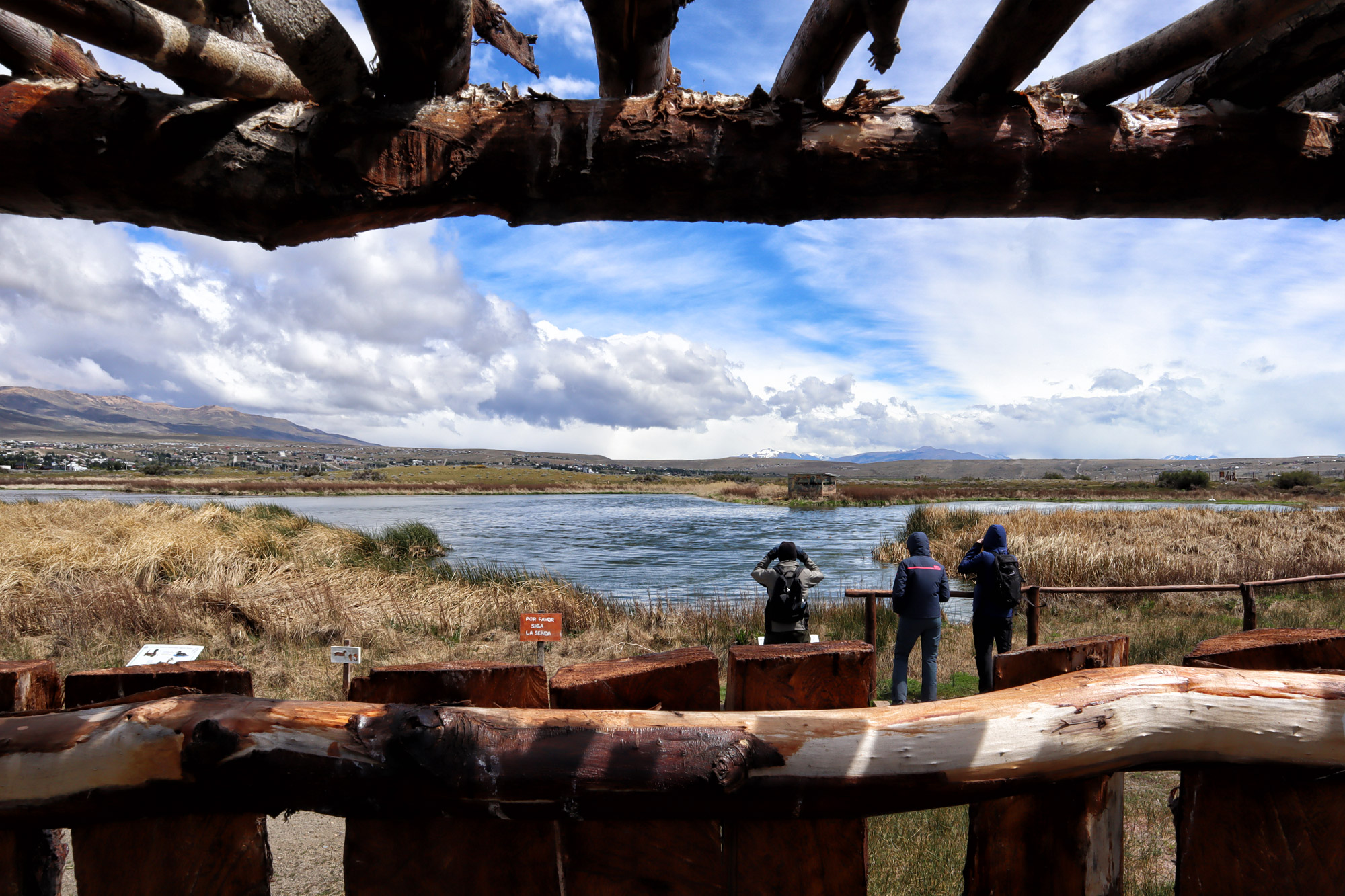 Doen in El Calafate: Vogels spotten bij Reserva Laguna Nimez - Argentinië