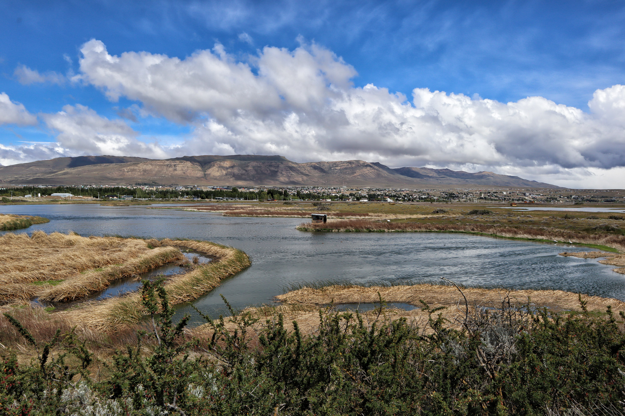 Doen in El Calafate: Vogels spotten bij Reserva Laguna Nimez - Argentinië