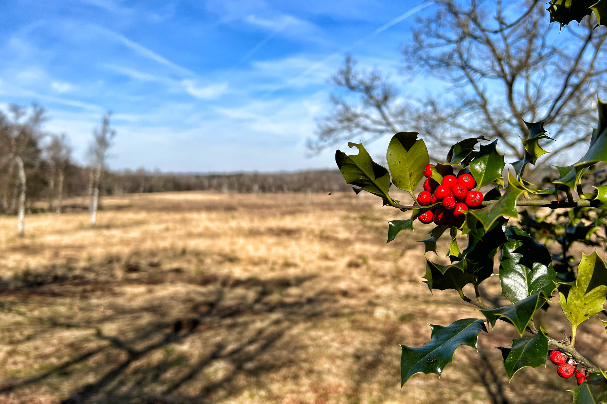 Wandelen in Limburg/Duitsland - Schwalmbruch