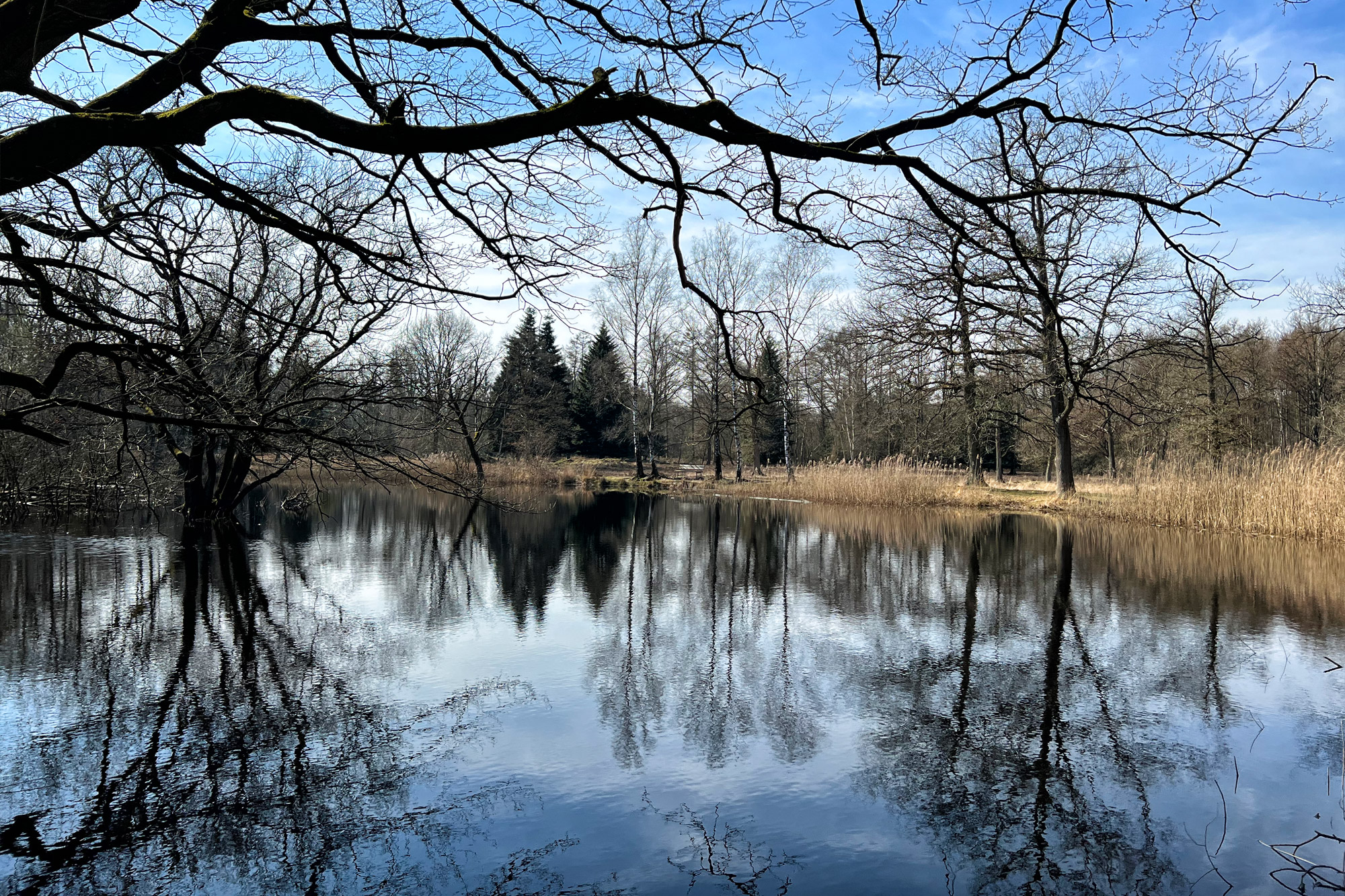 Wandelen in Limburg/Duitsland - Schwalmbruch