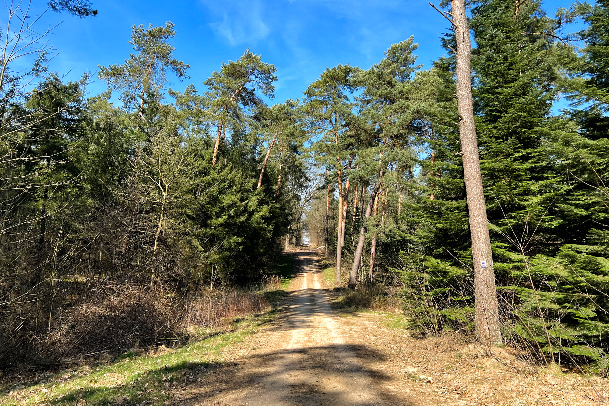 Wandelen in Limburg/Duitsland - Schwalmbruch