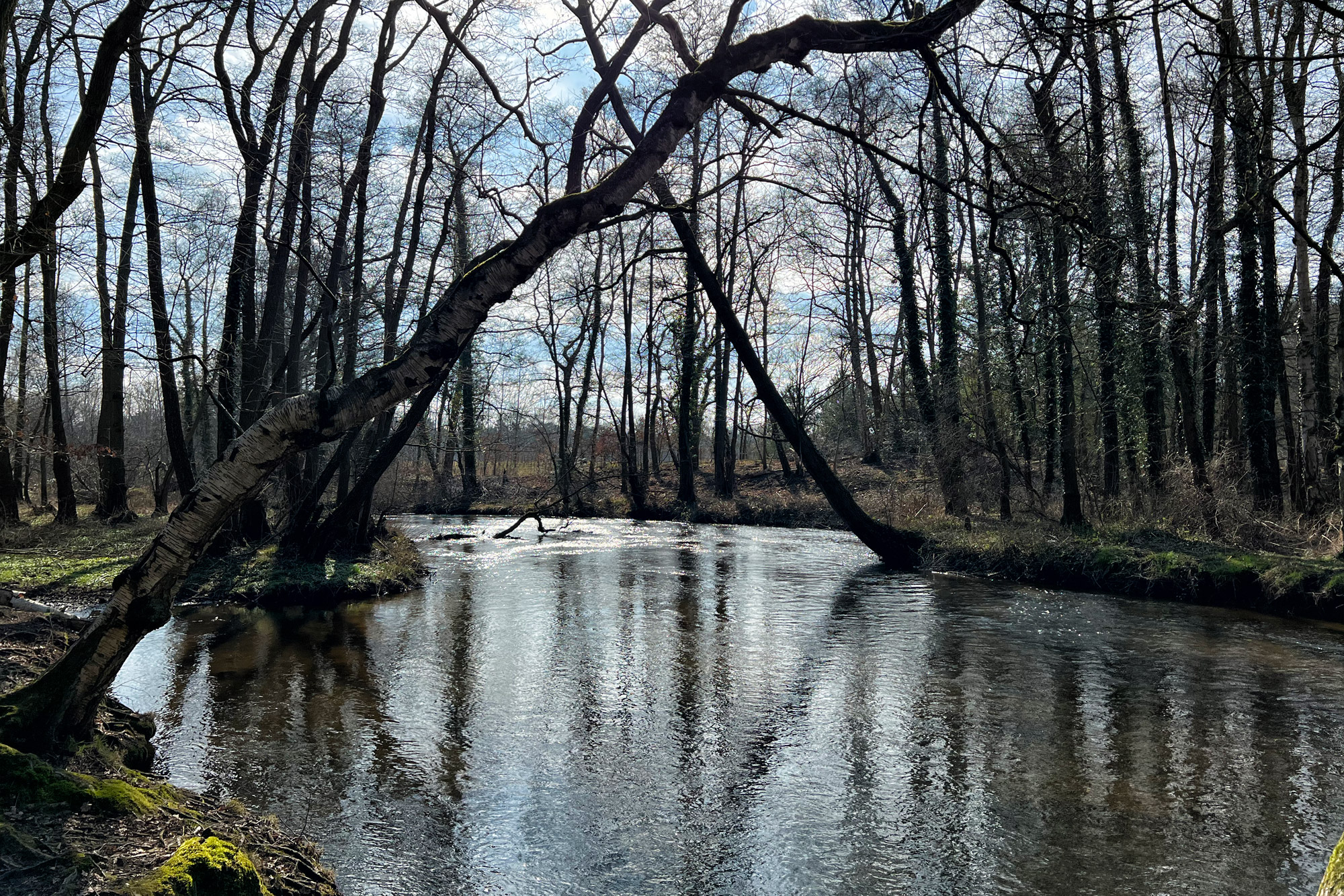 Wandelen in Limburg/Duitsland - Schwalmbruch