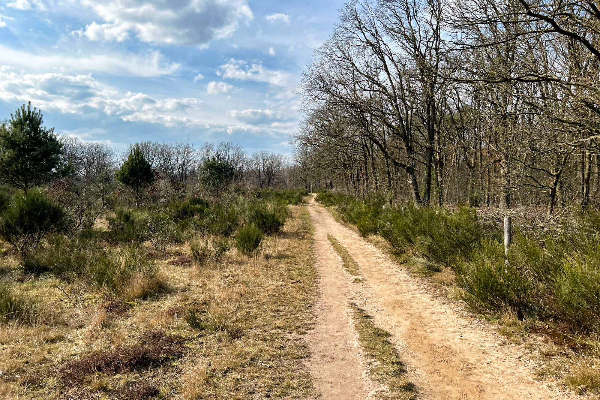 Wandelen in Limburg/Duitsland - Schwalmbruch