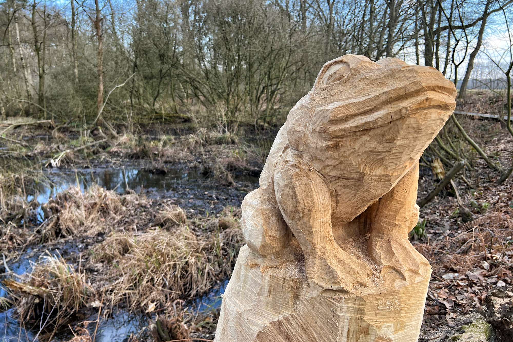 Wandelen in Limburg/Duitsland - Schwalmbruch