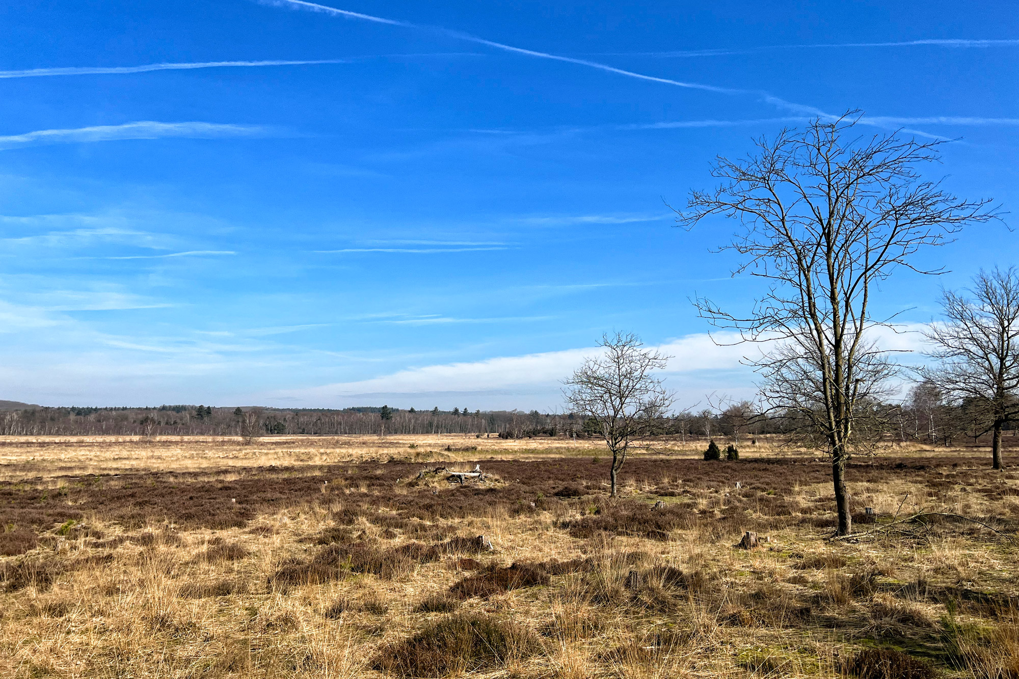 Wandelen in Limburg/Duitsland - Schwalmbruch