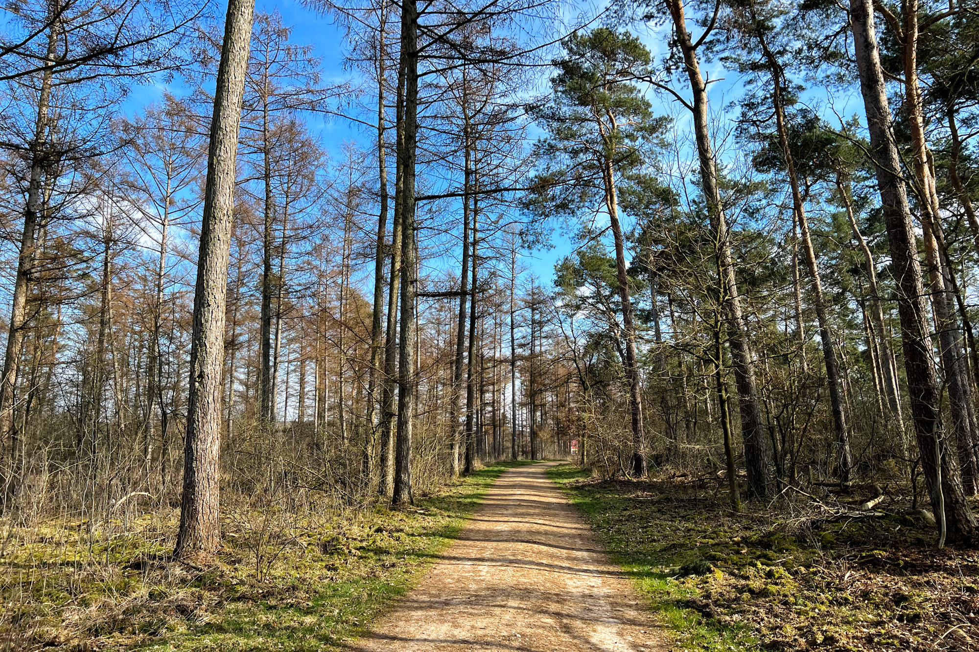 Wandelen in Limburg/Duitsland - Schwalmbruch