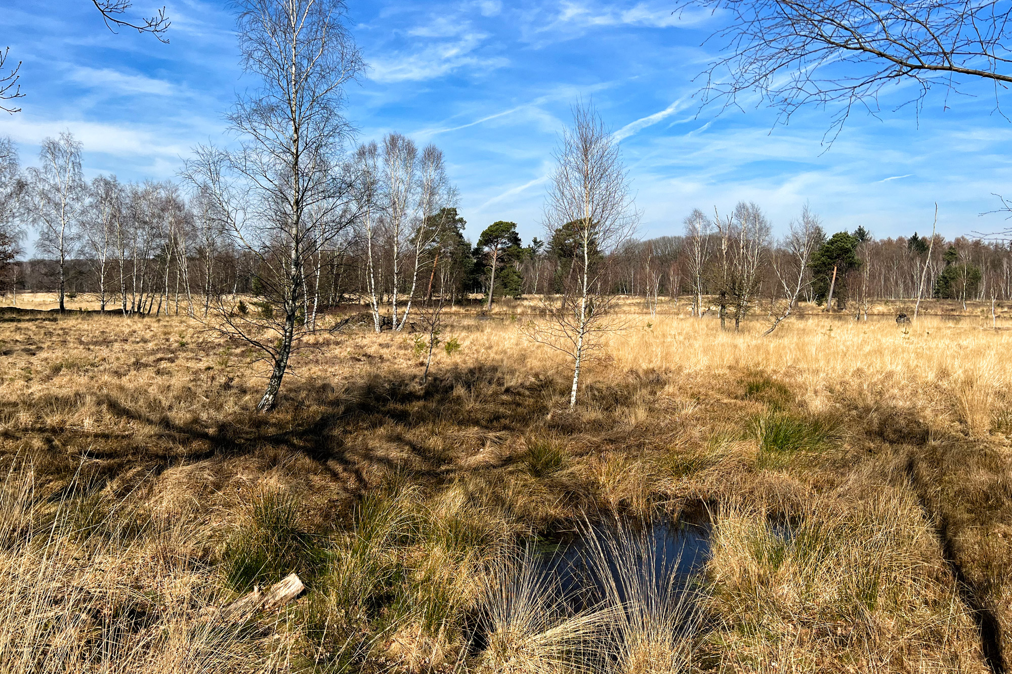 Wandelen in Limburg/Duitsland - Schwalmbruch