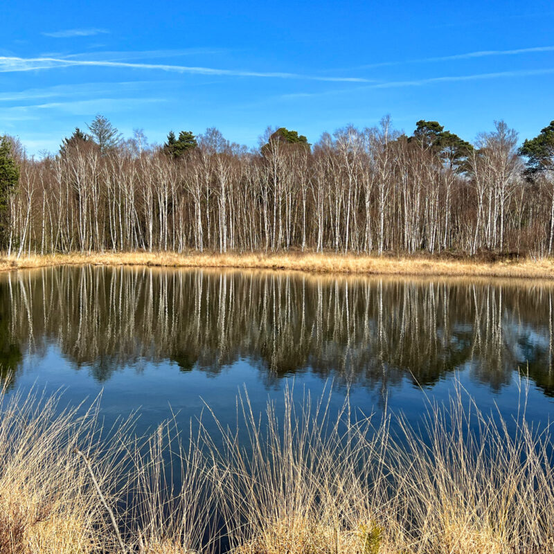 Wandelen in Limburg/Duitsland - Schwalmbruch