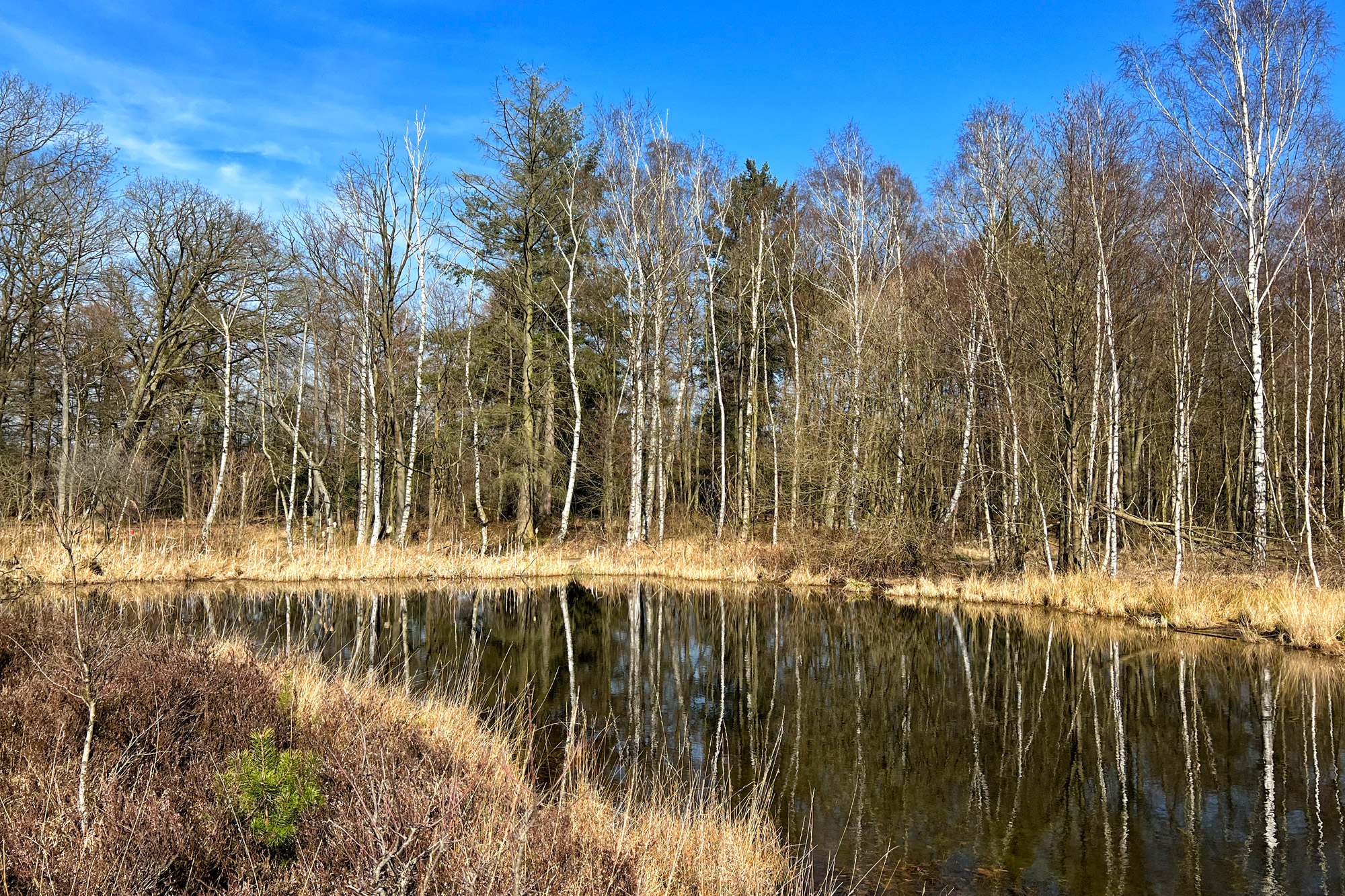 Wandelen in Limburg/Duitsland - Schwalmbruch