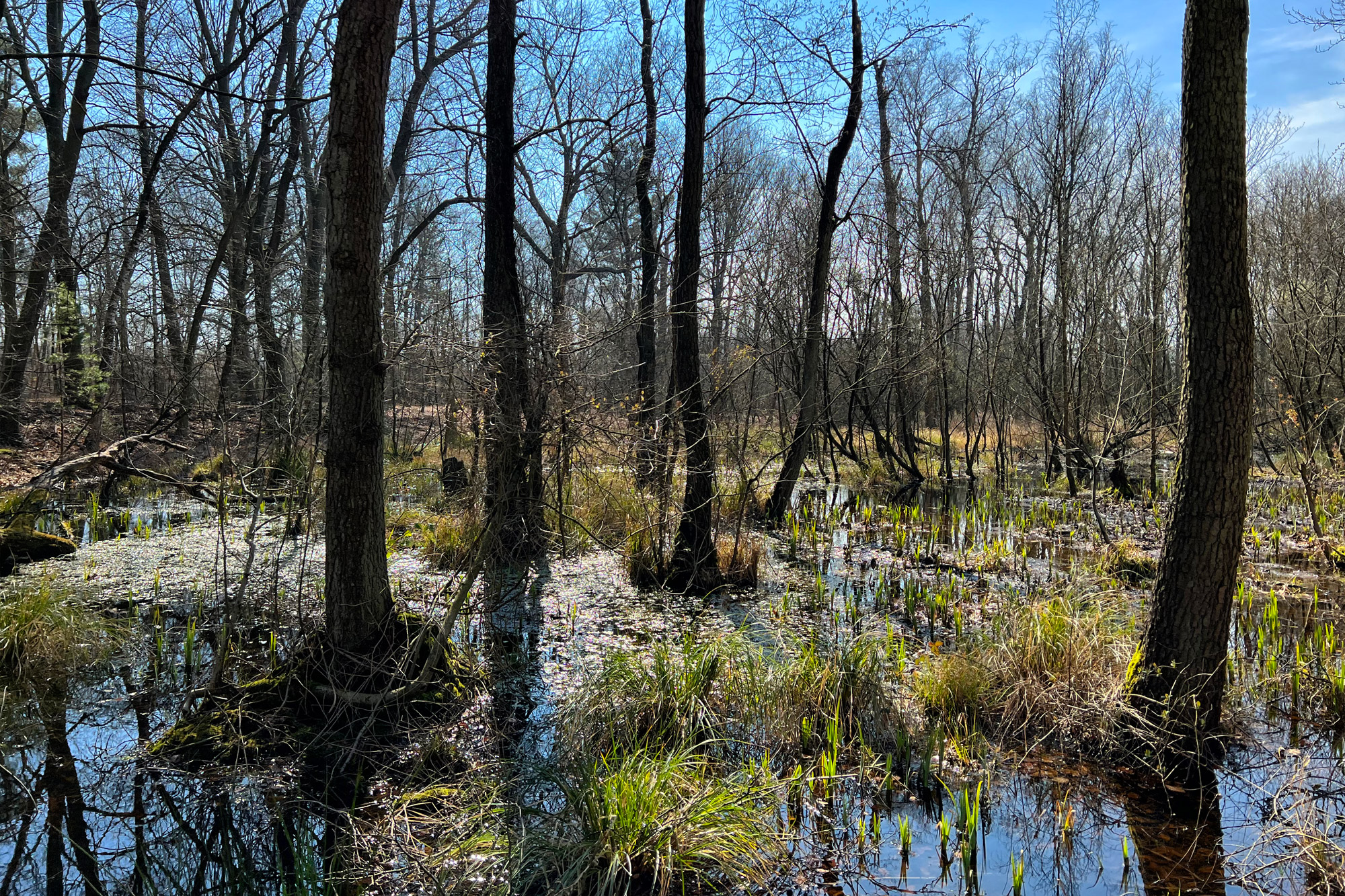 Wandelen in Limburg/Duitsland - Schwalmbruch